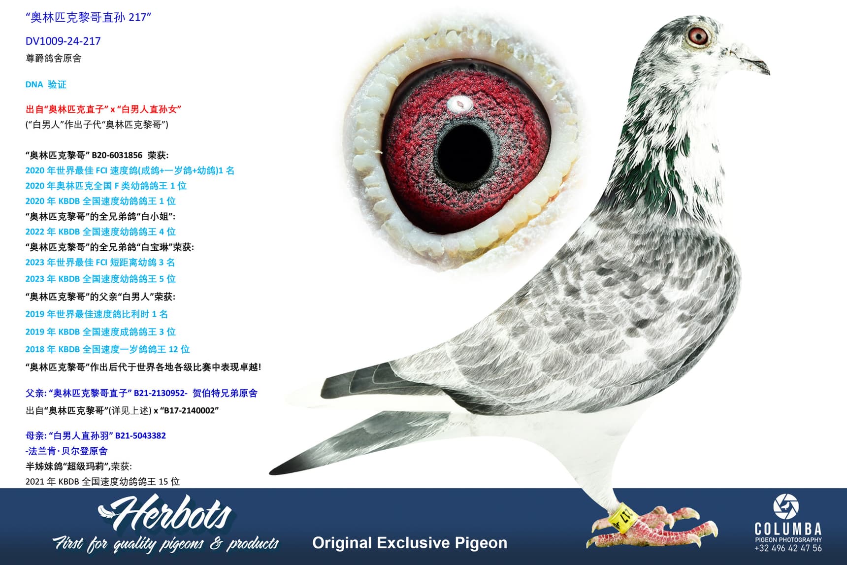 pigeon: undefined