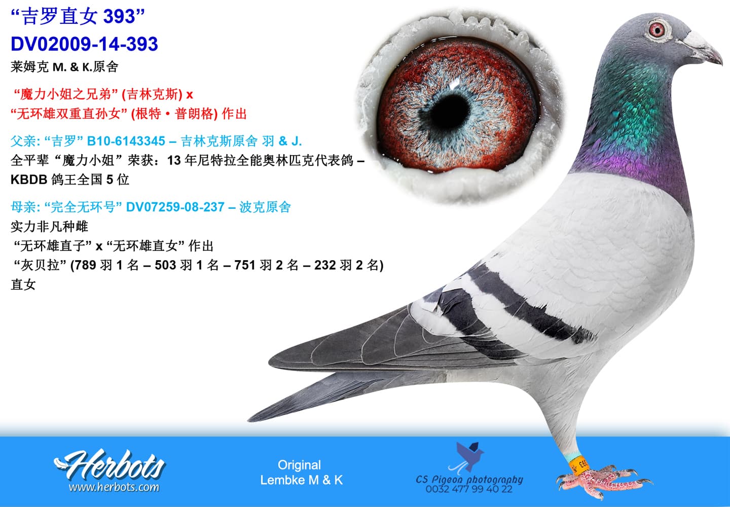 pigeon: undefined