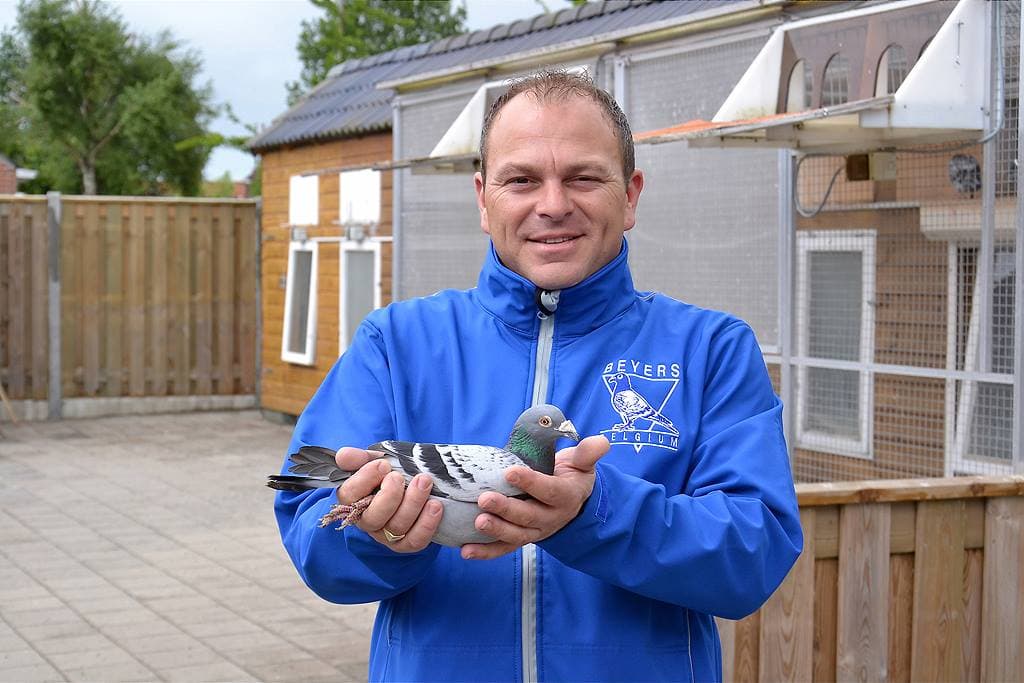 Danny De Voogd de Yerseke (NL) remporte le 1er NPO Fontenay 7.192 pigeons