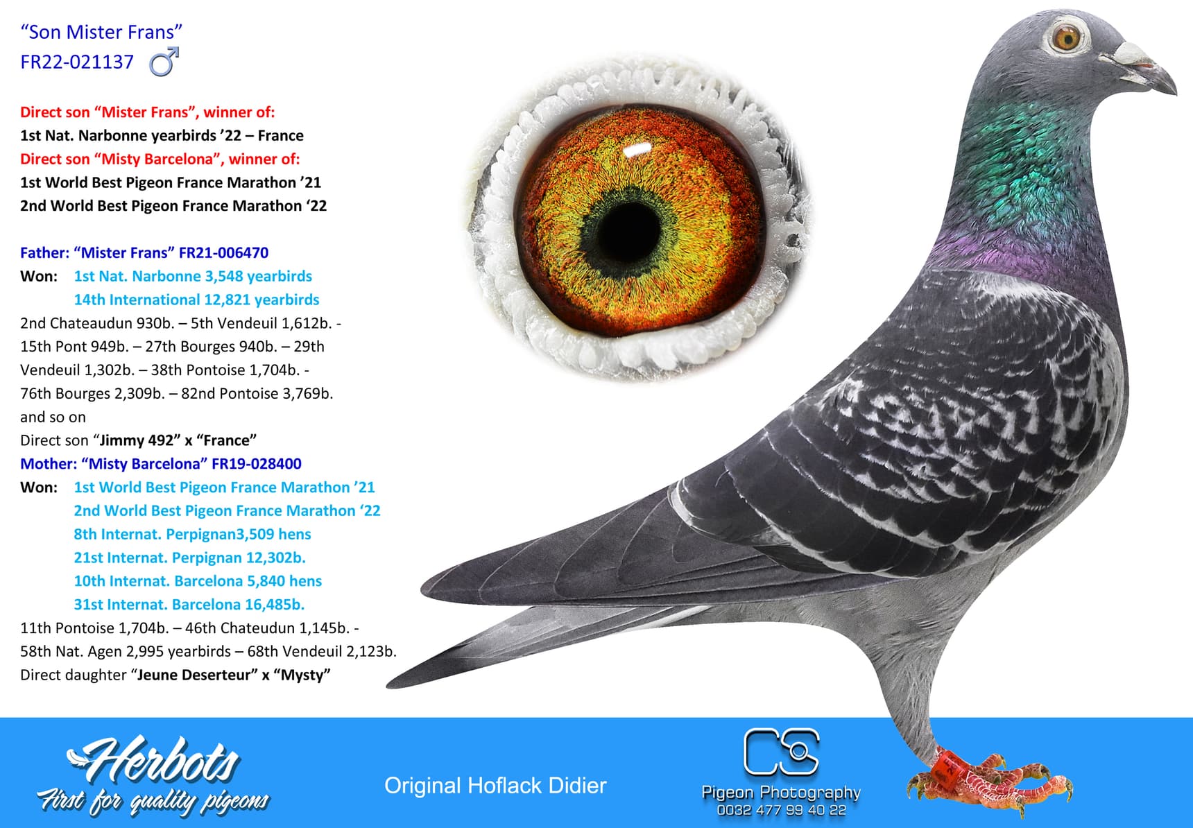 pigeon: undefined