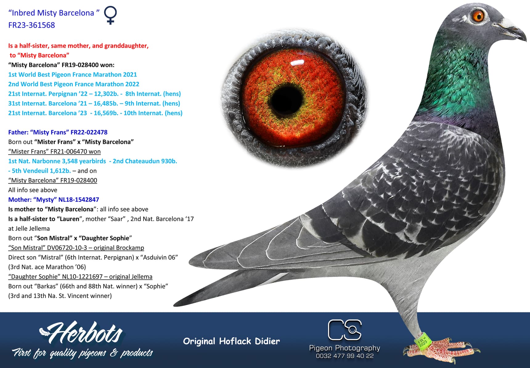 pigeon: undefined