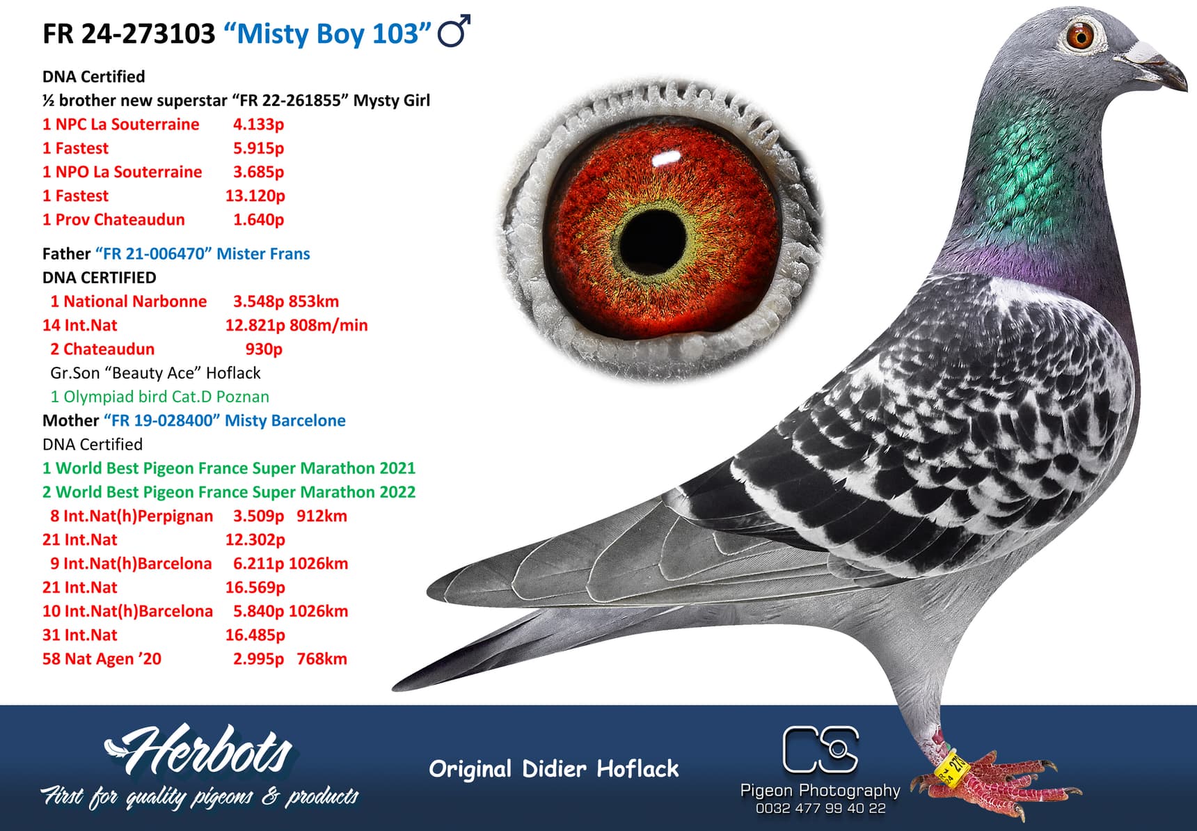 pigeon: undefined