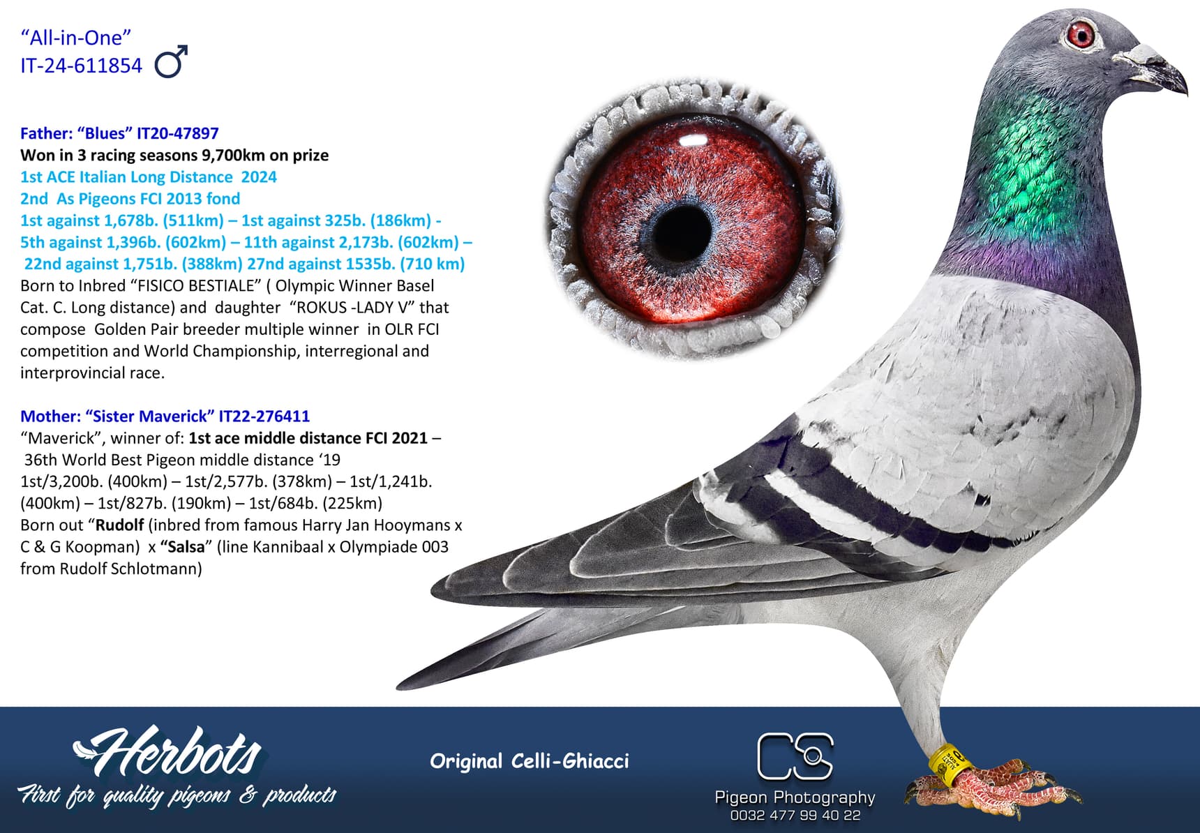 pigeon: undefined
