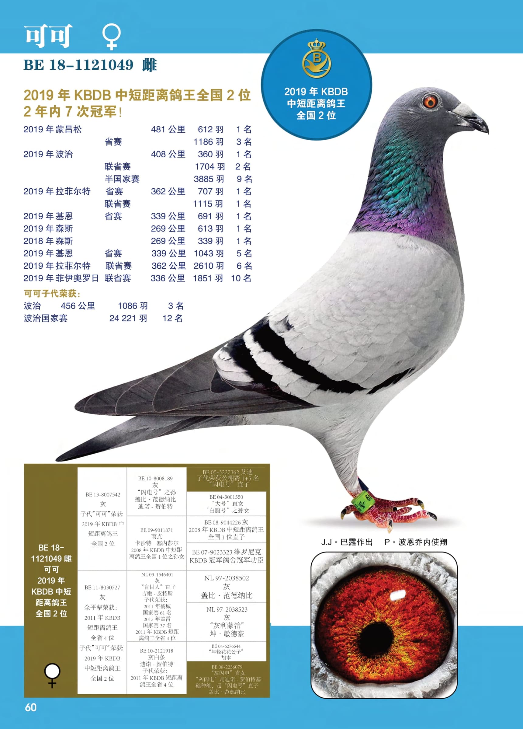 可可