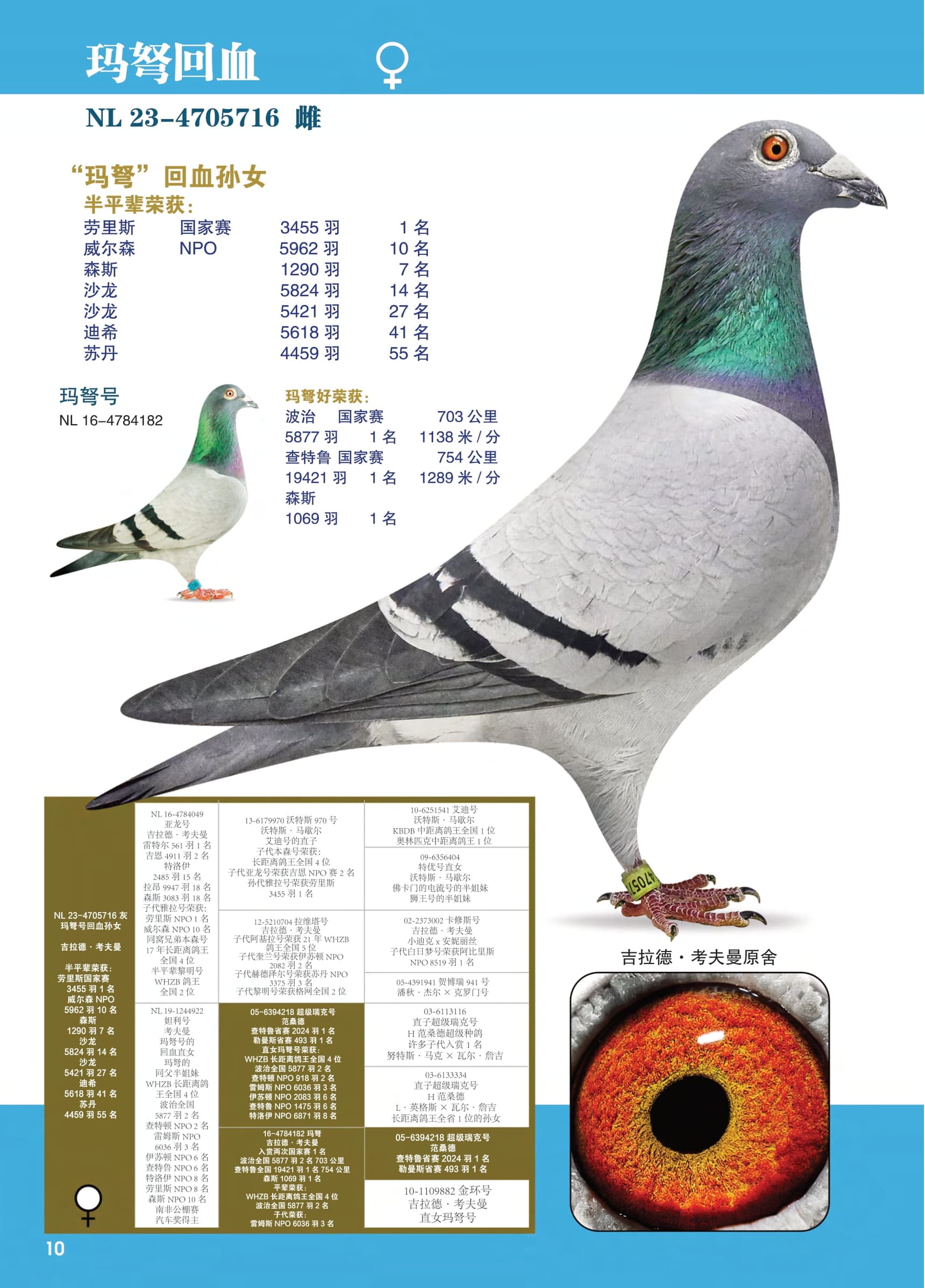 玛弩回血