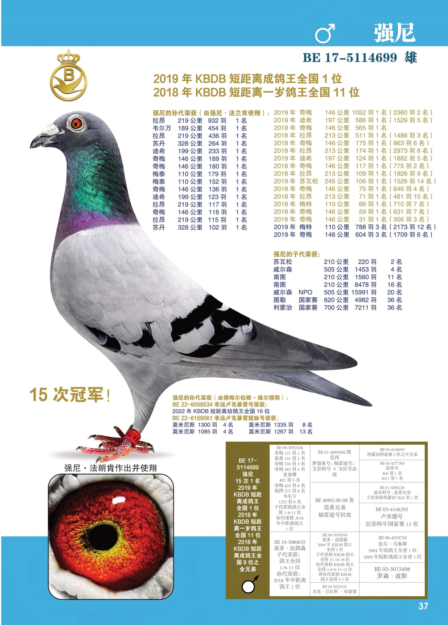强尼