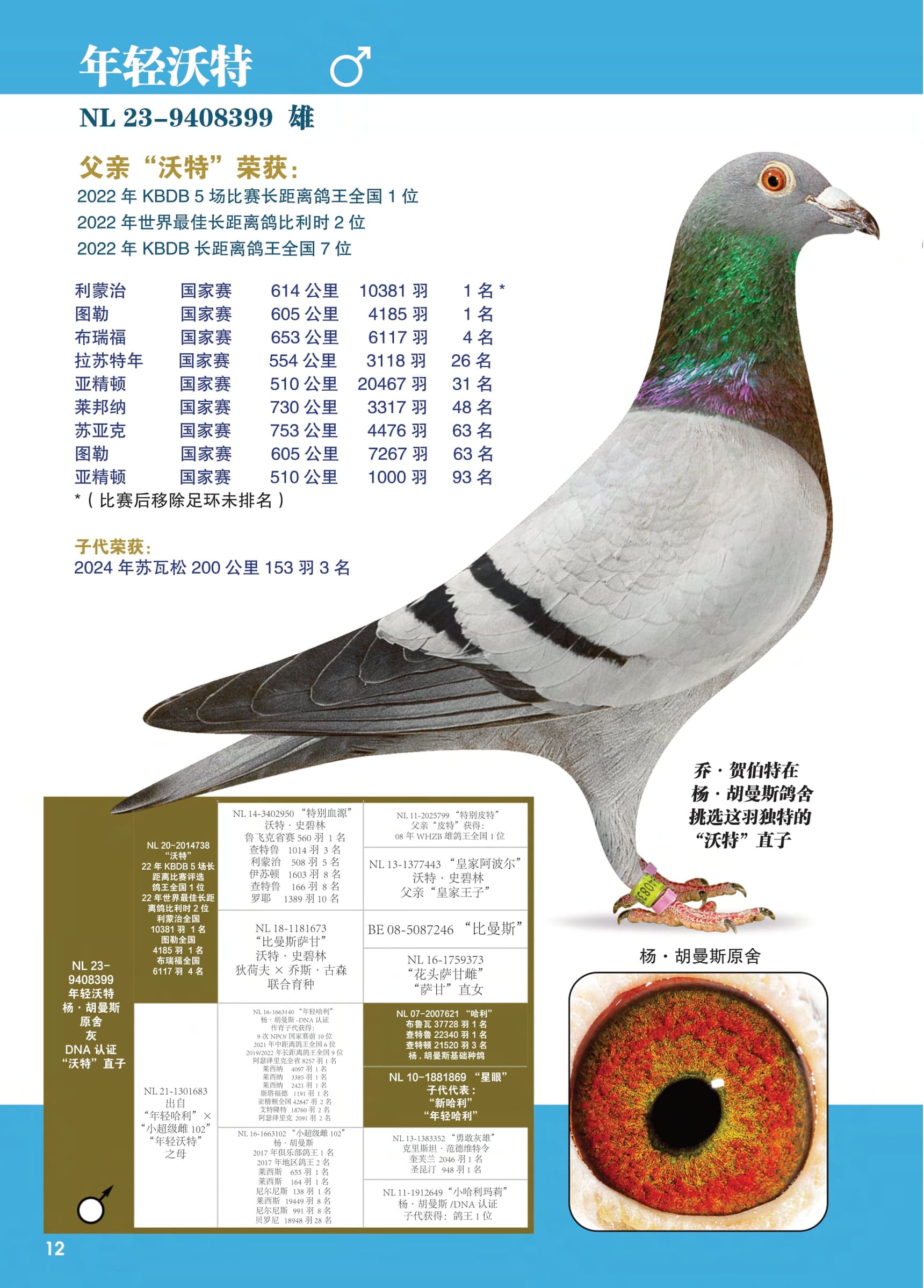 年轻沃特