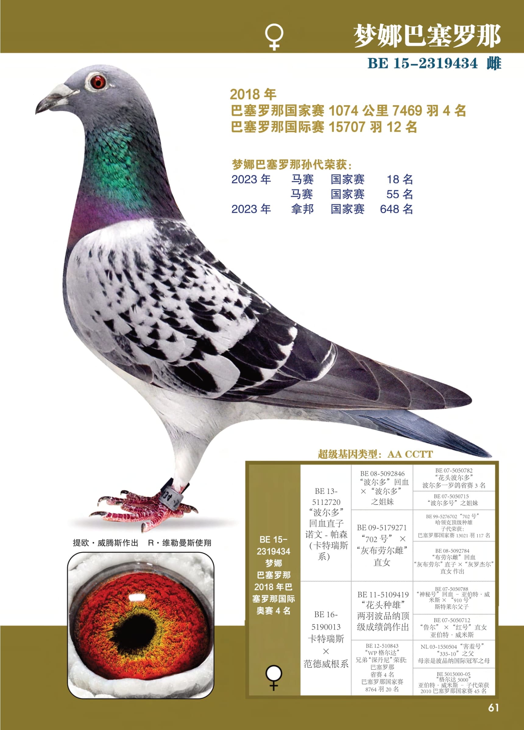 梦娜巴塞罗那
