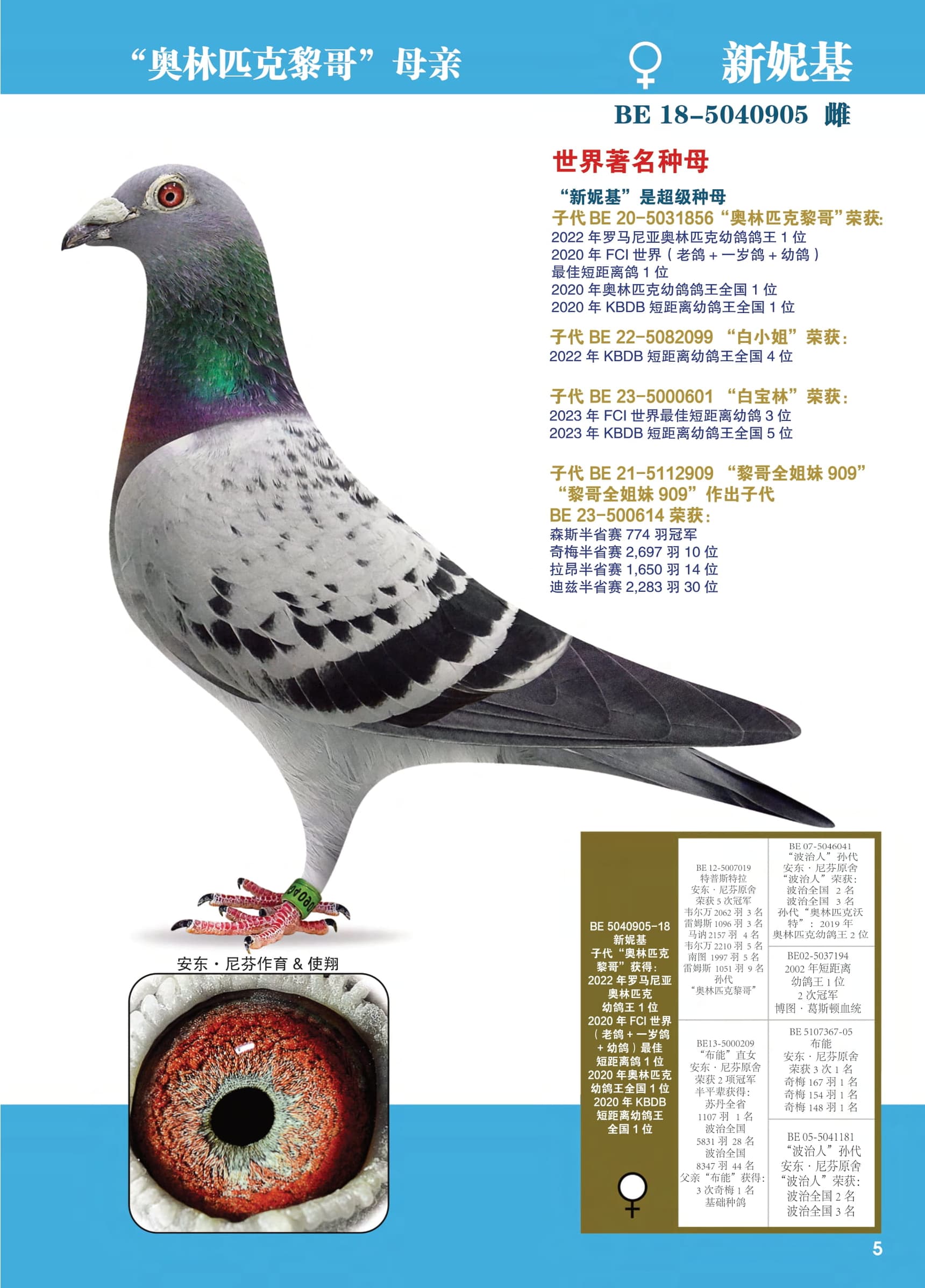 新妮基