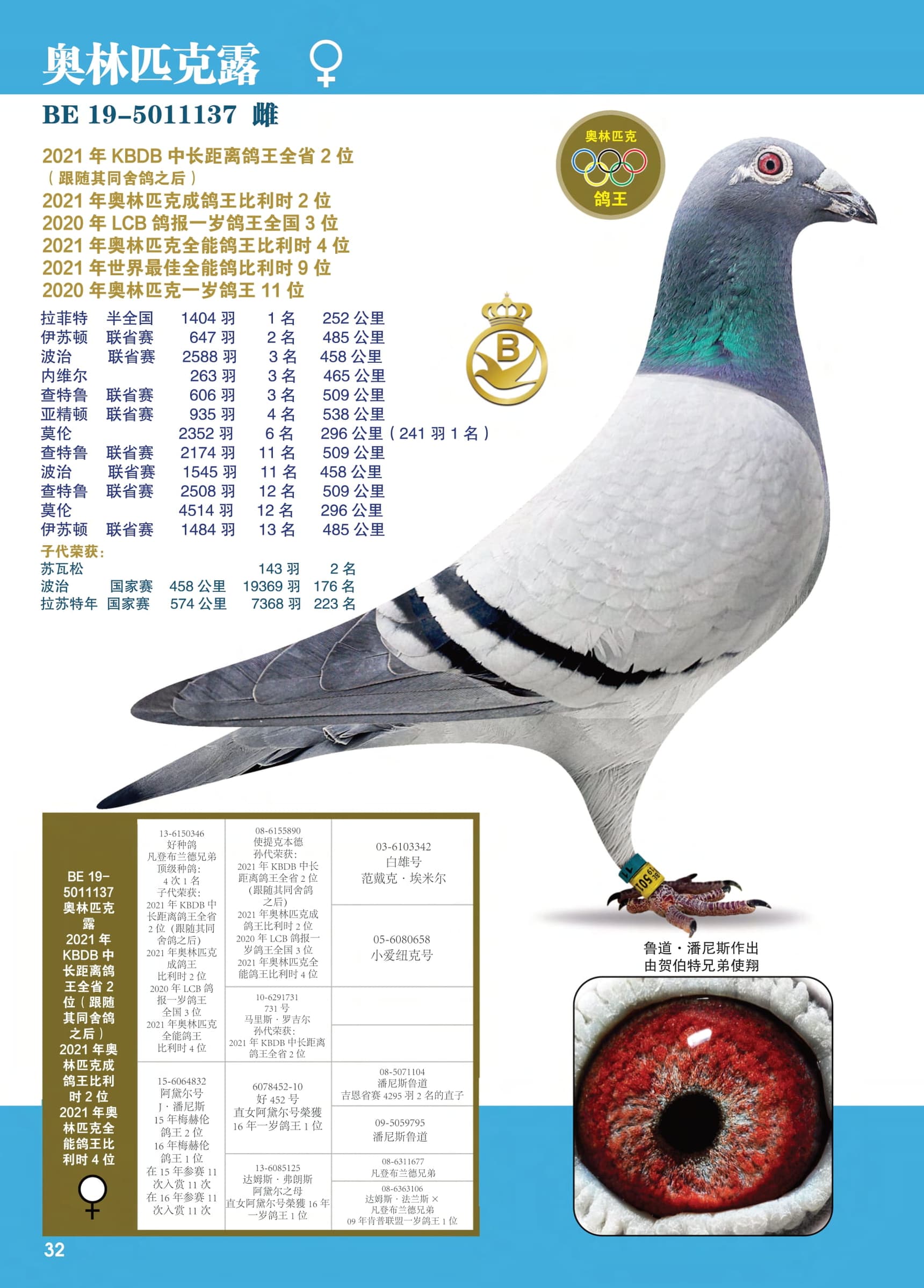 奥林匹克露