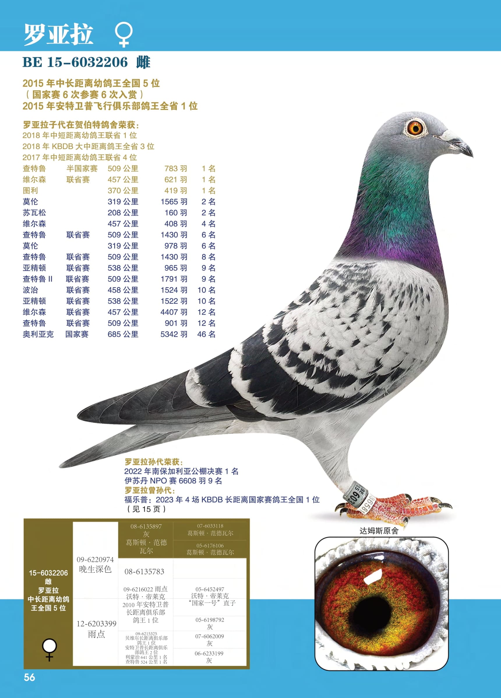 罗亚拉
