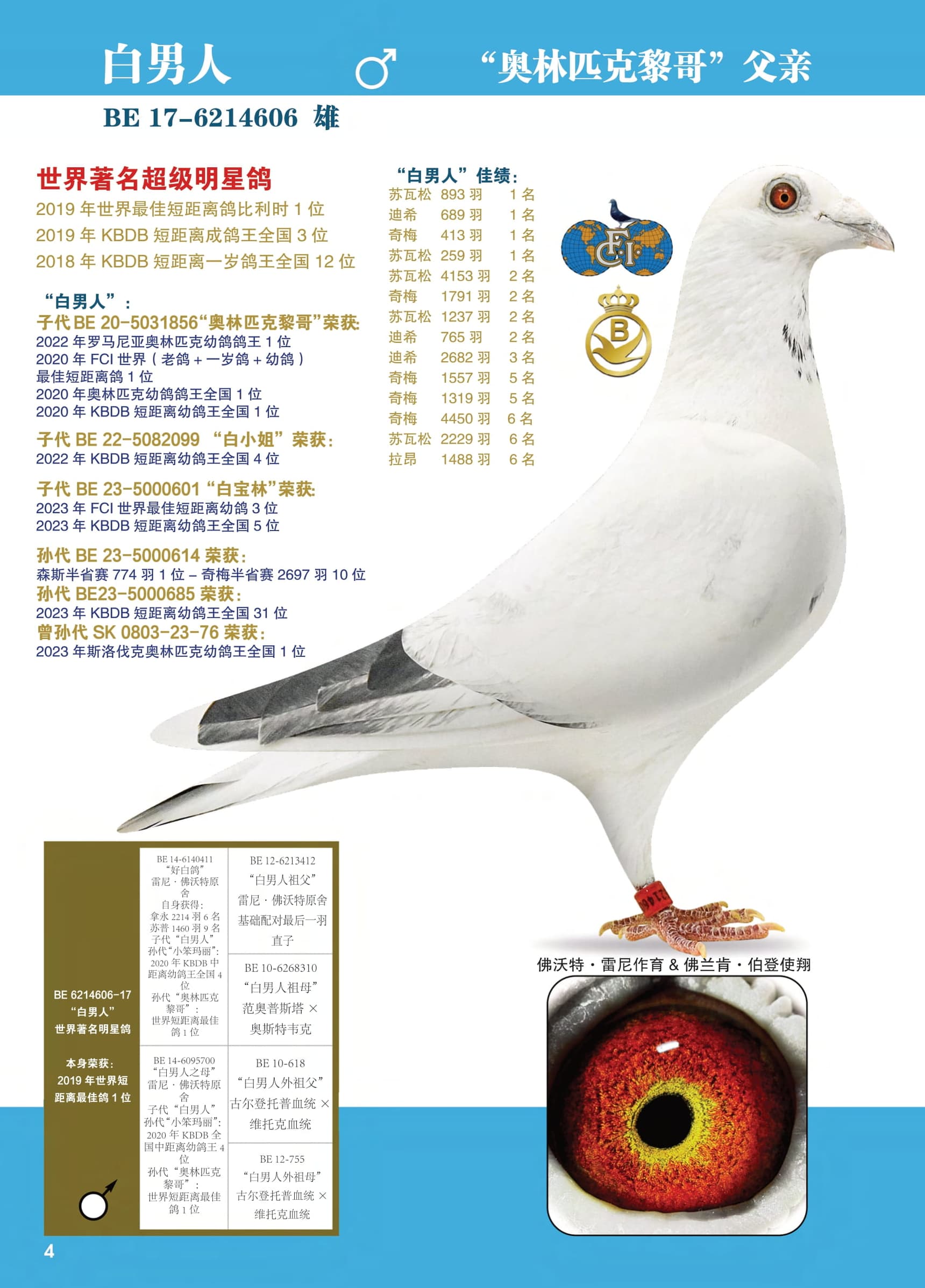 白男人