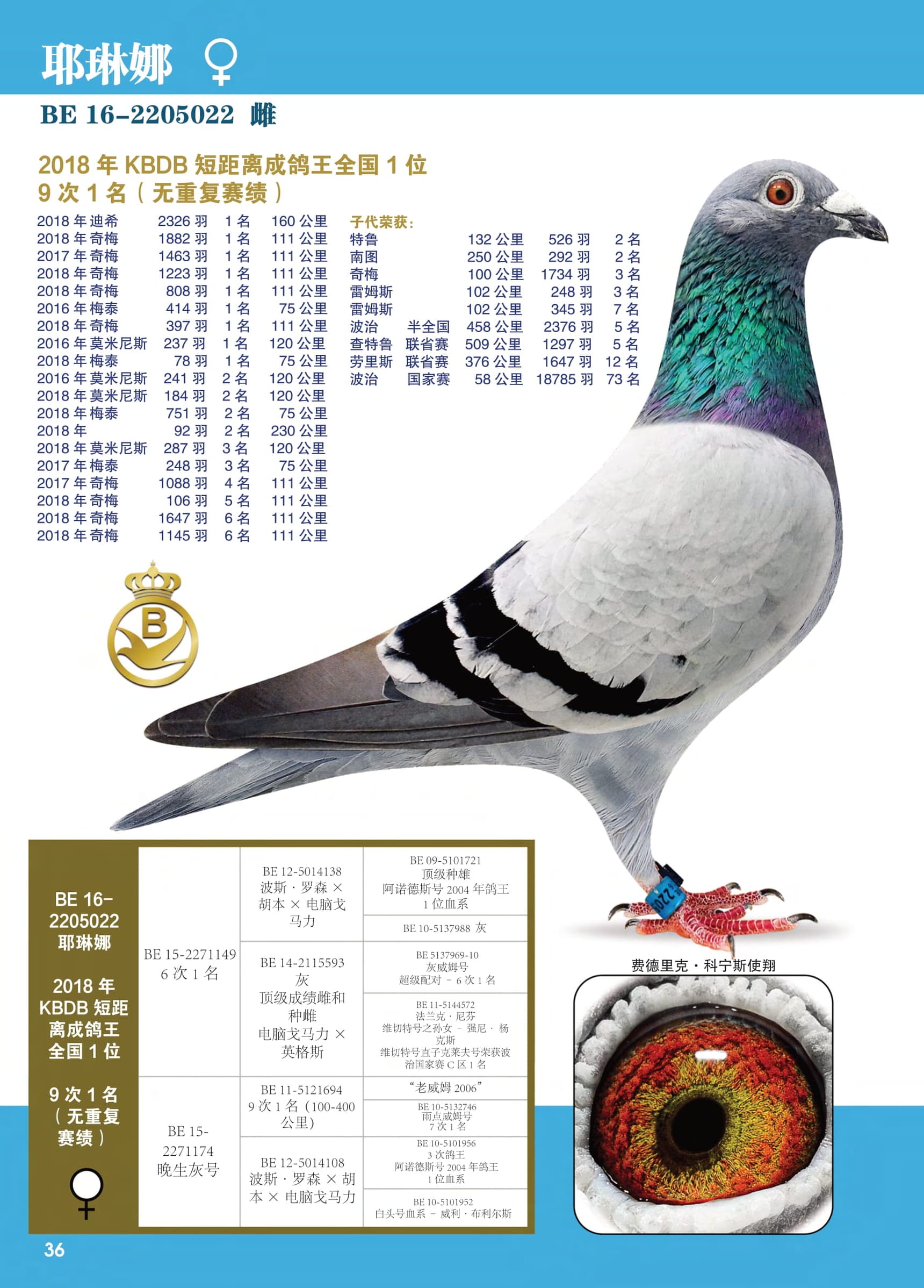 耶琳娜