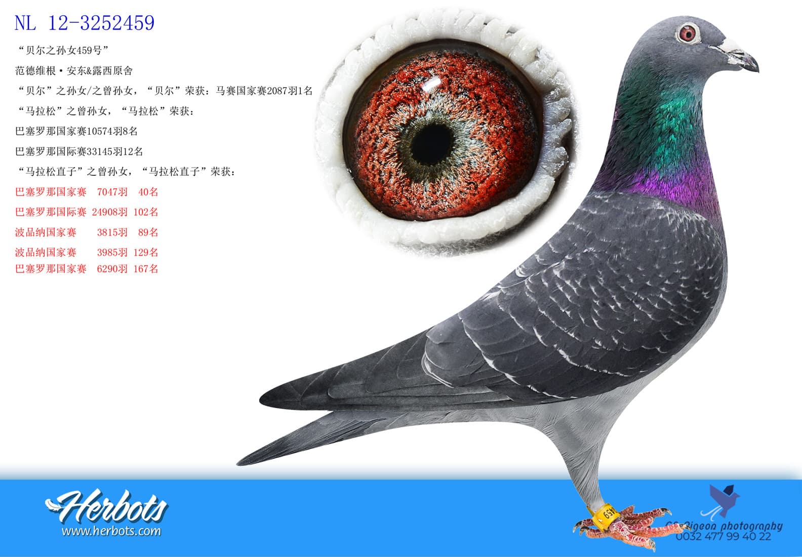 pigeon: undefined