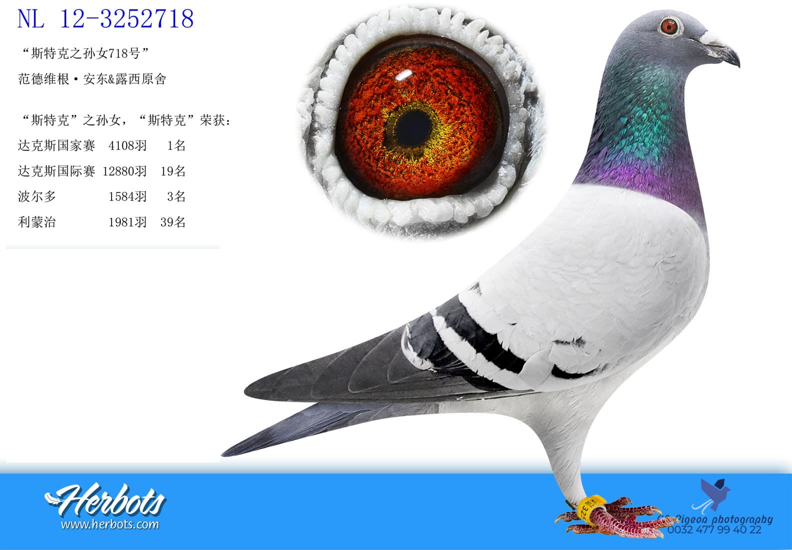 pigeon: undefined