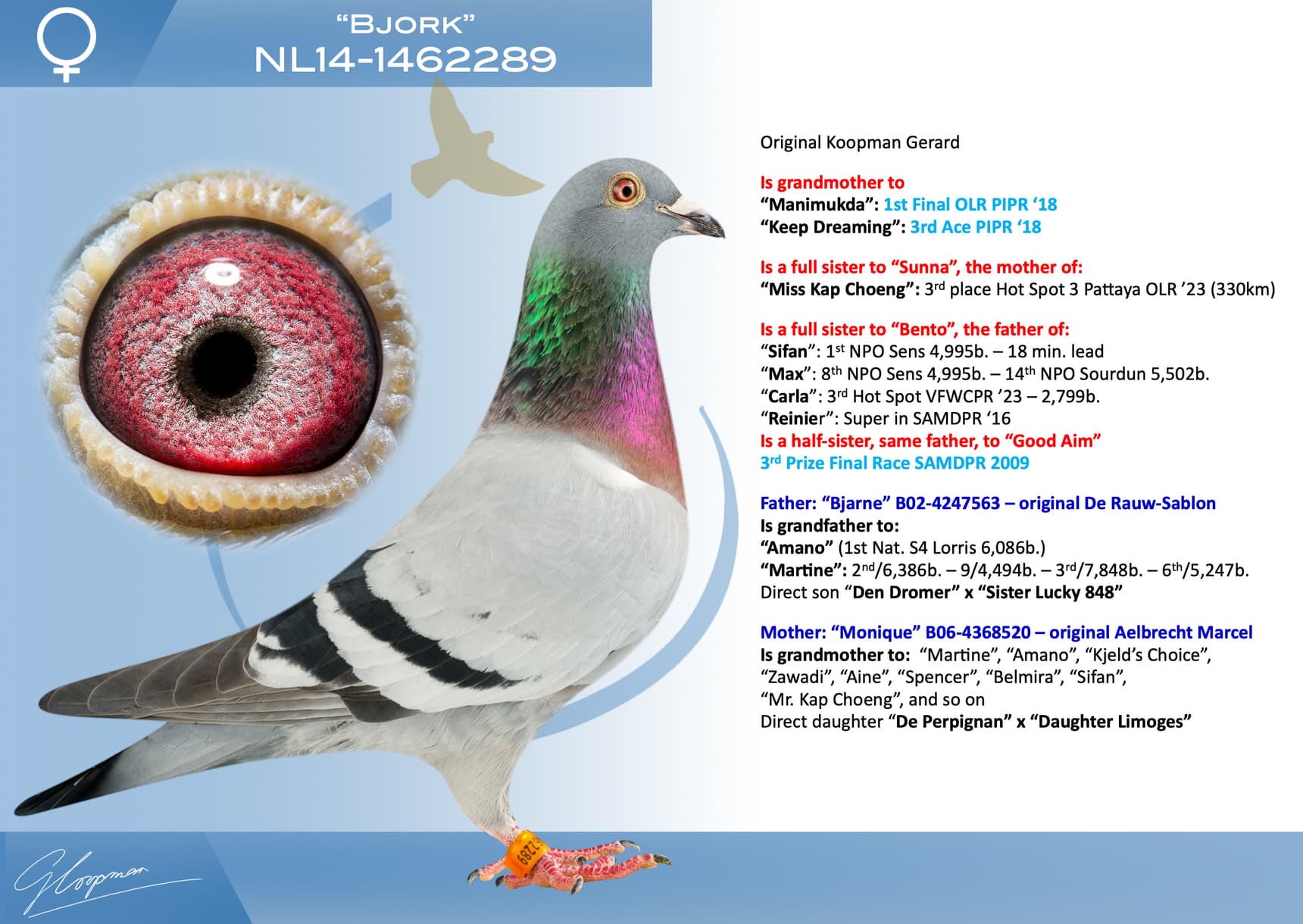 pigeon: undefined