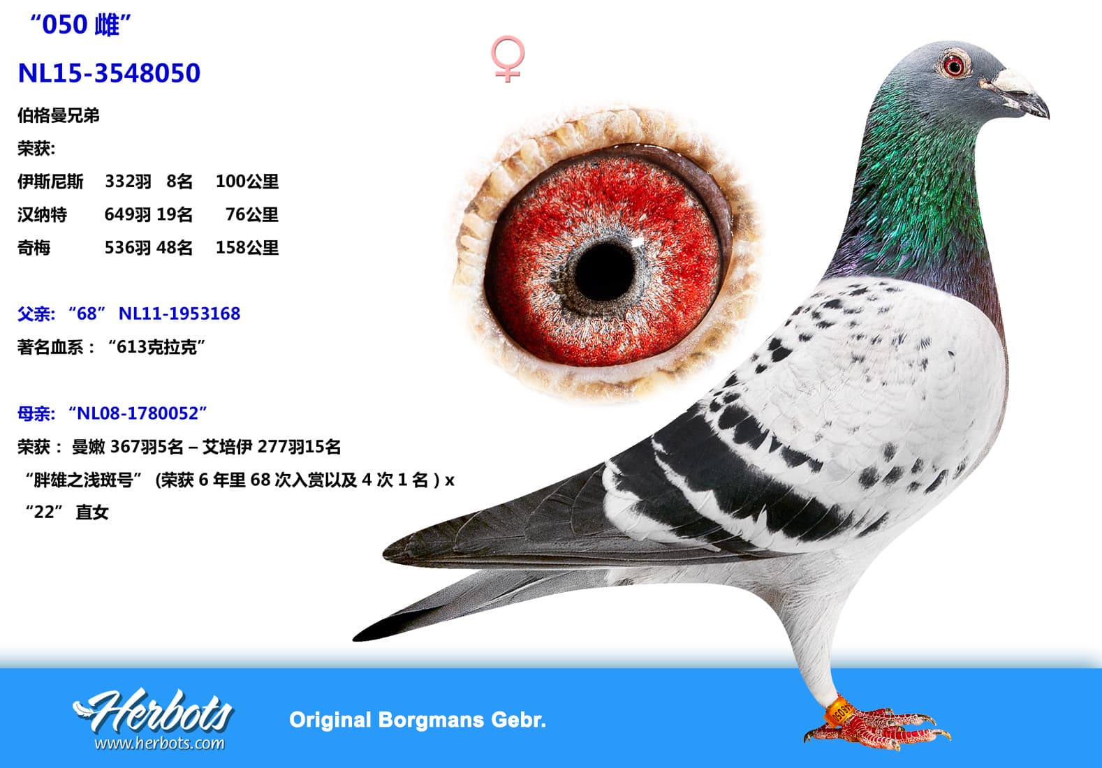 pigeon: undefined