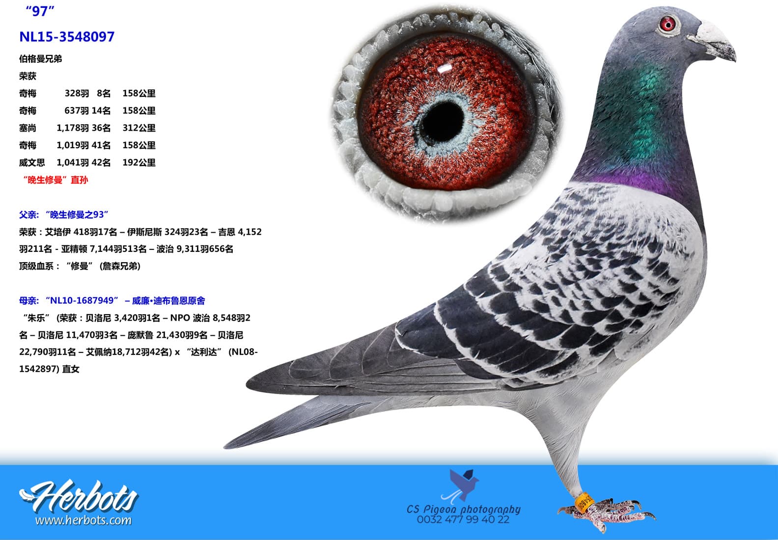 pigeon: undefined
