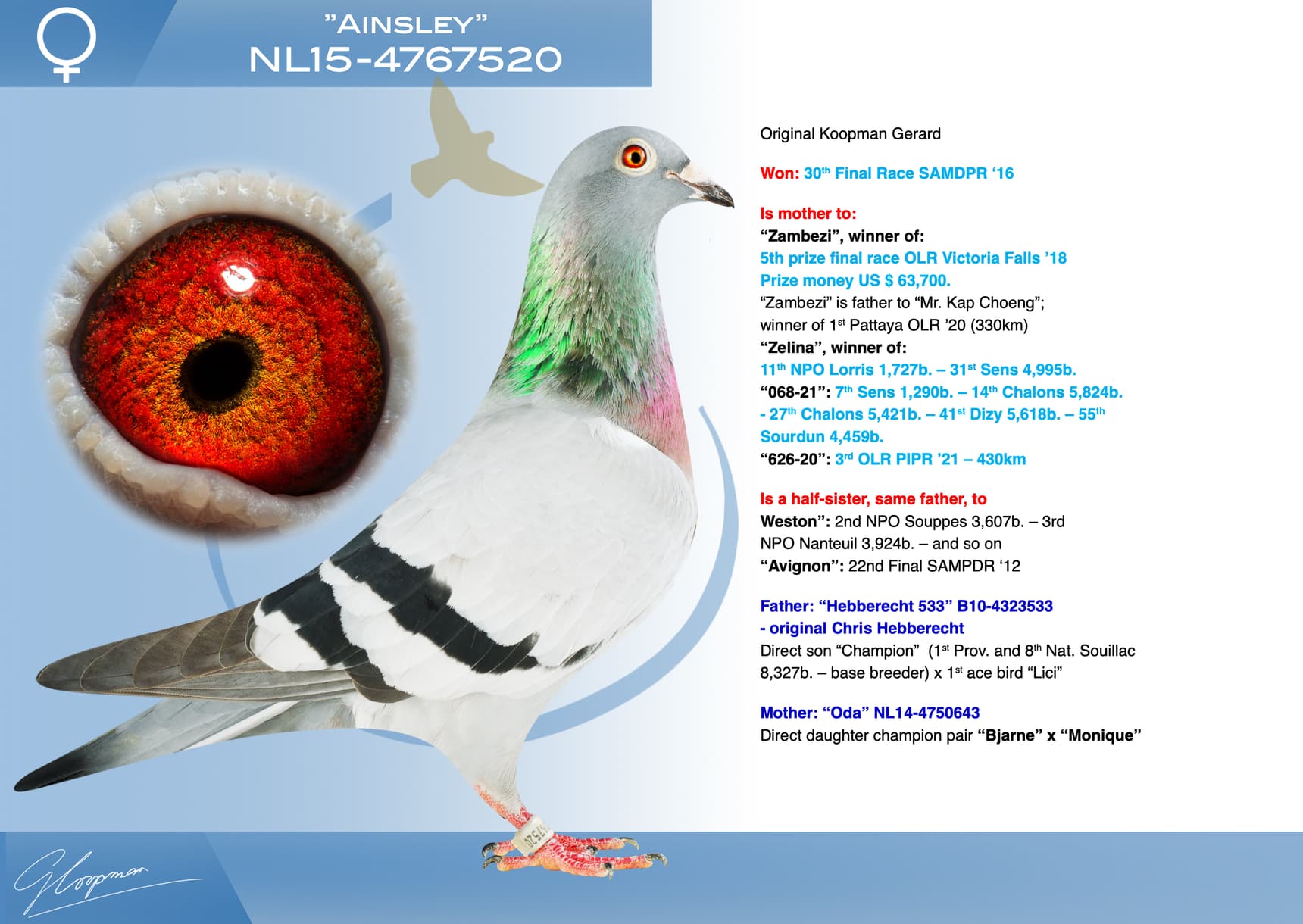 pigeon: undefined