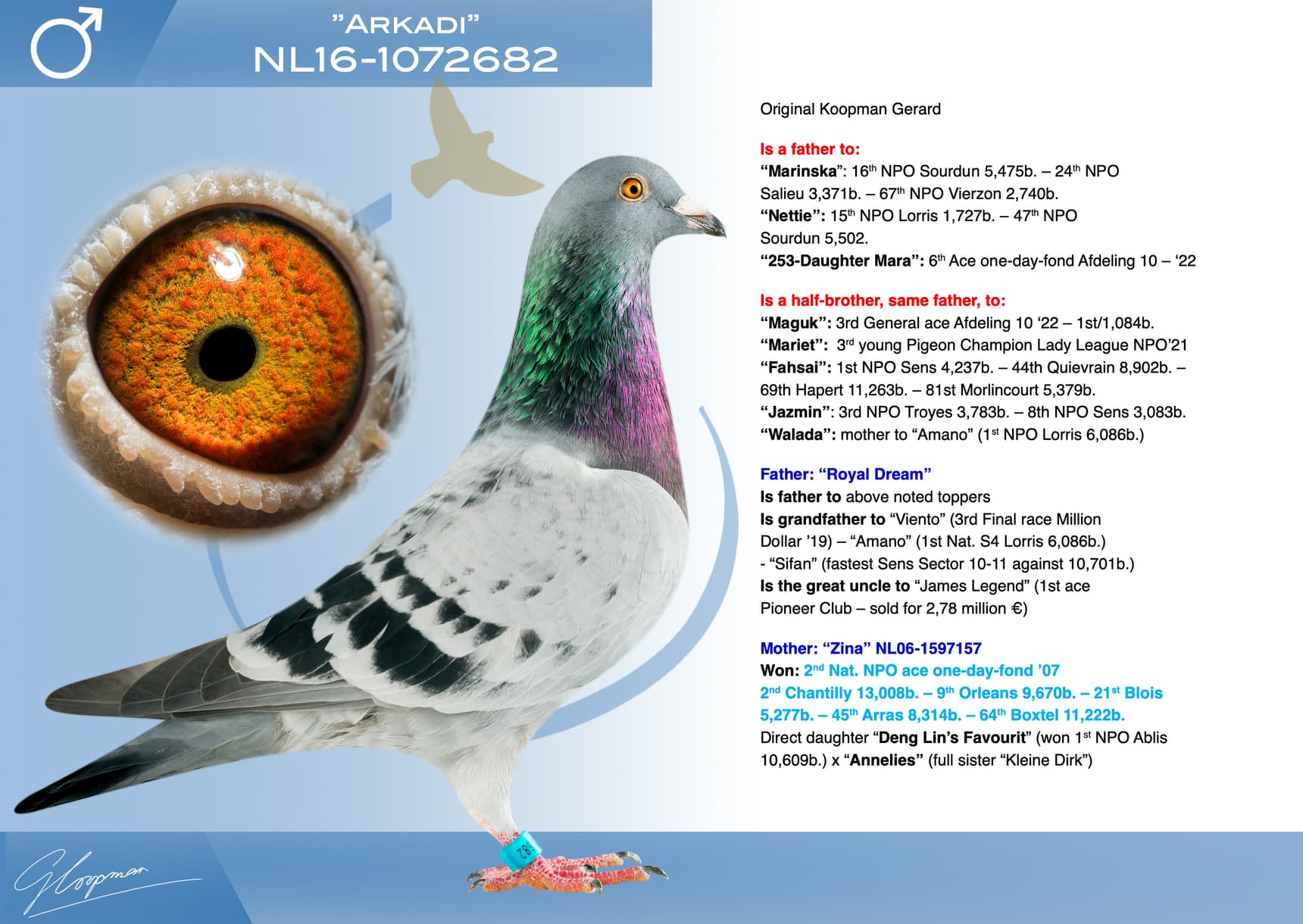 pigeon: undefined