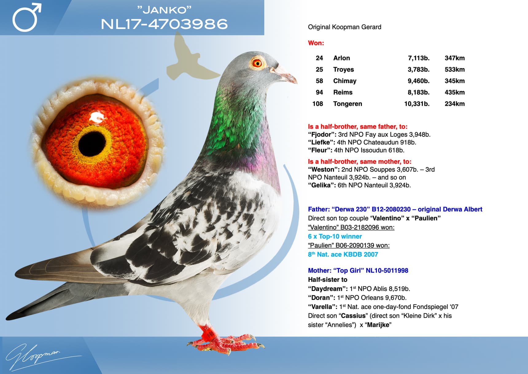 pigeon: undefined