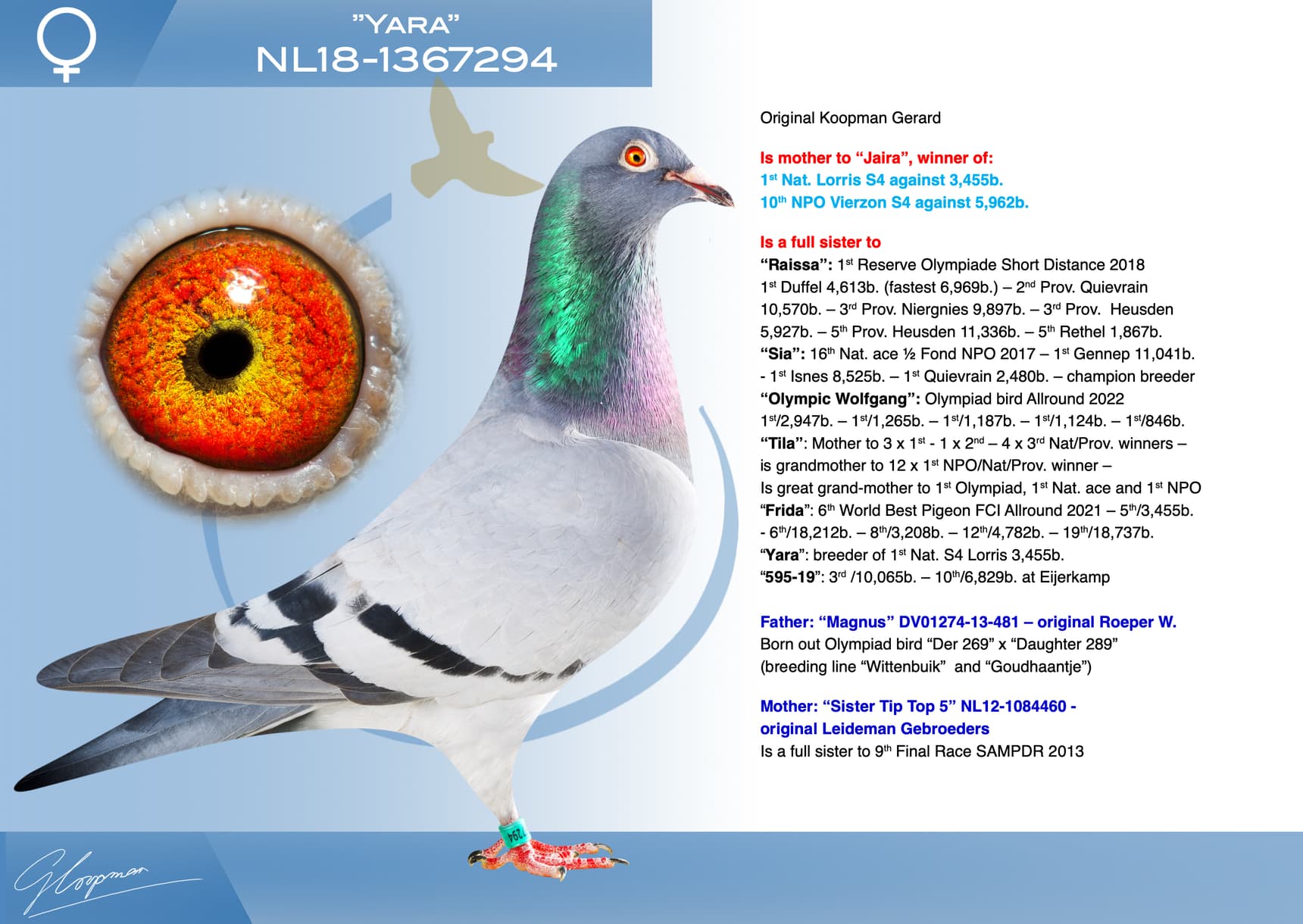 pigeon: undefined