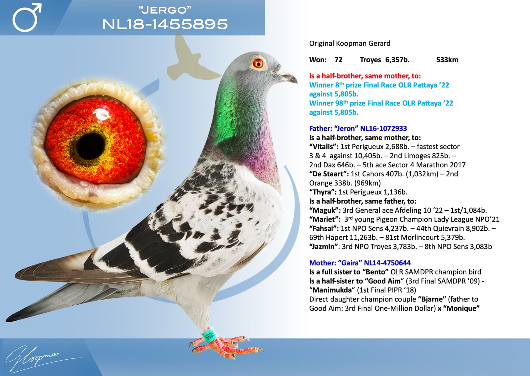 pigeon: undefined