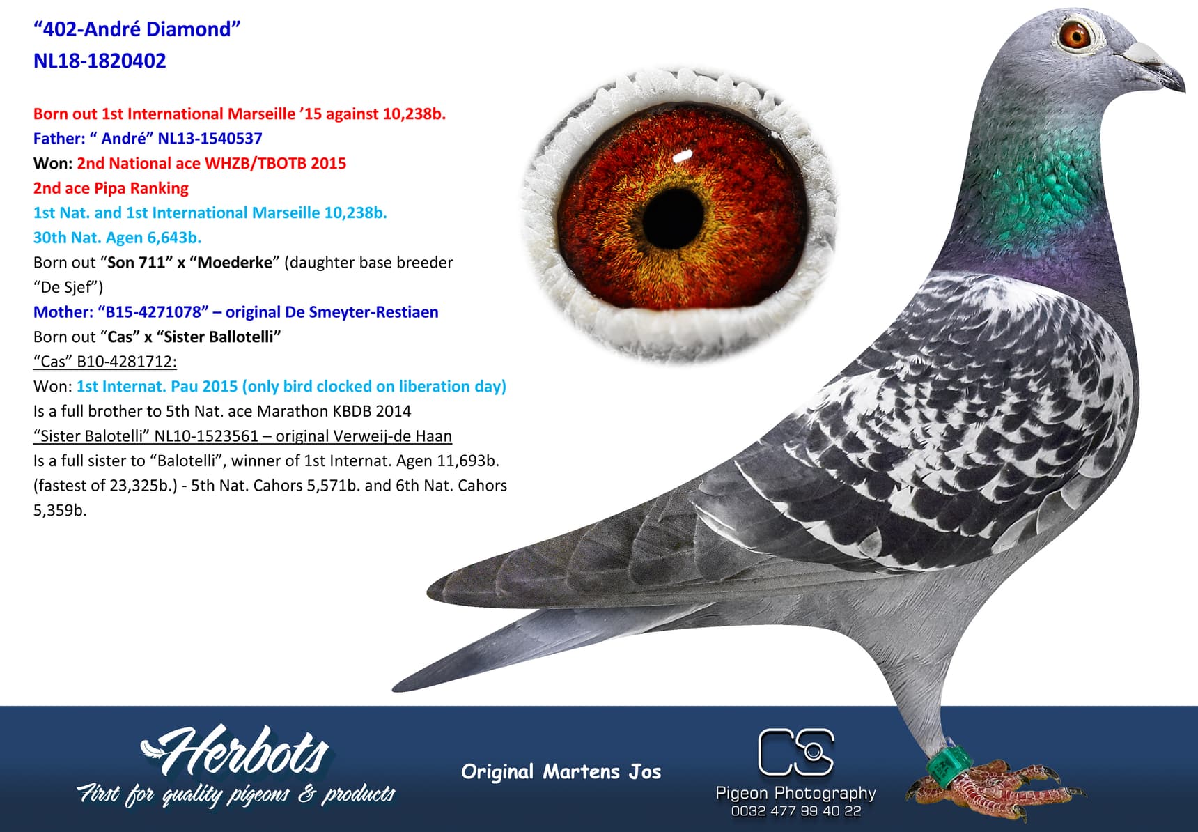 pigeon: undefined