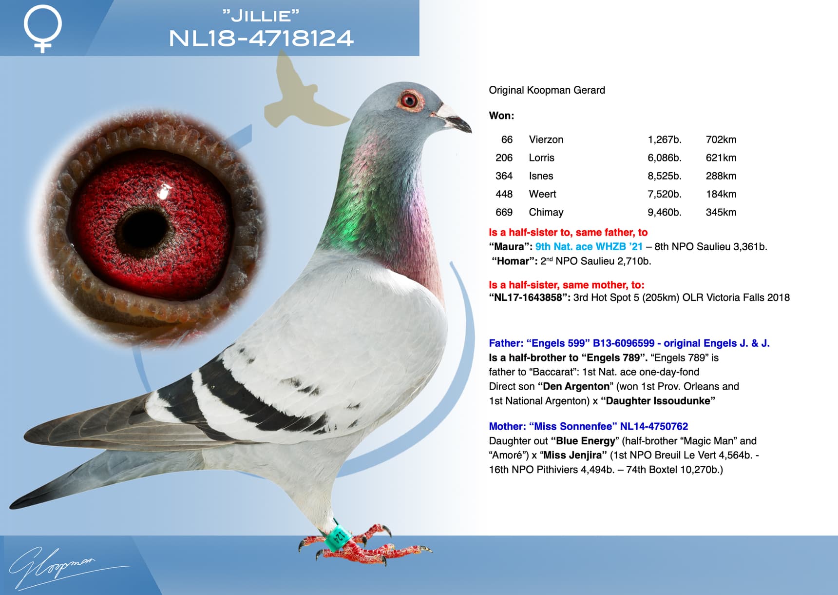pigeon: undefined