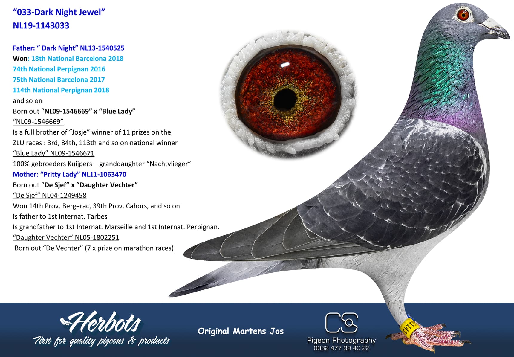 pigeon: undefined
