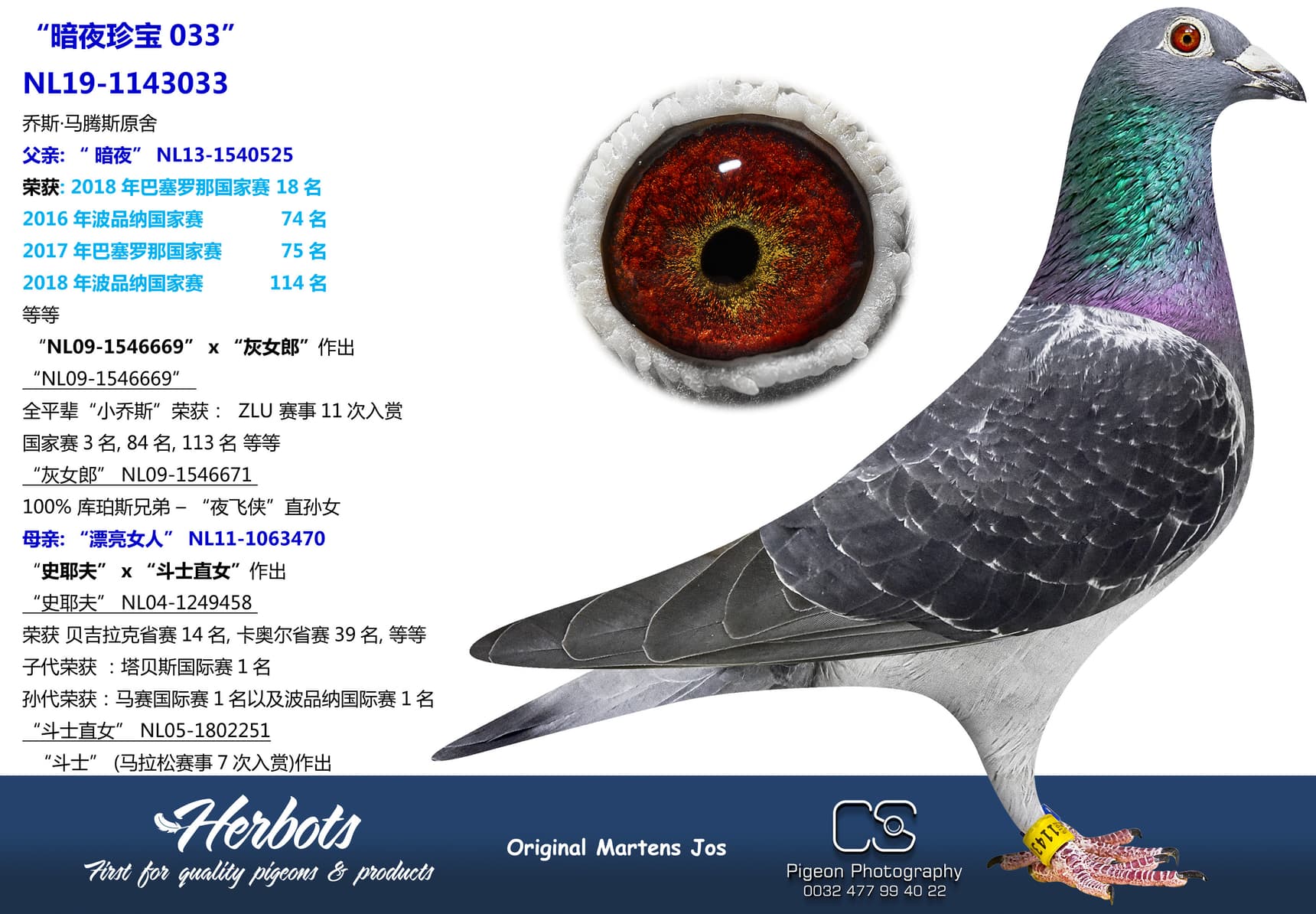 pigeon: “暗夜珍宝033”
