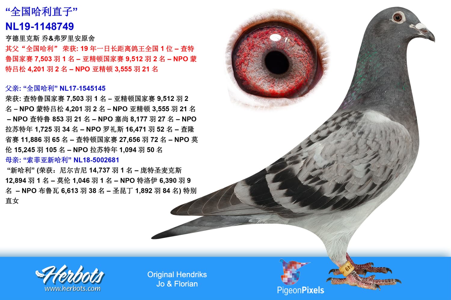 pigeon: undefined