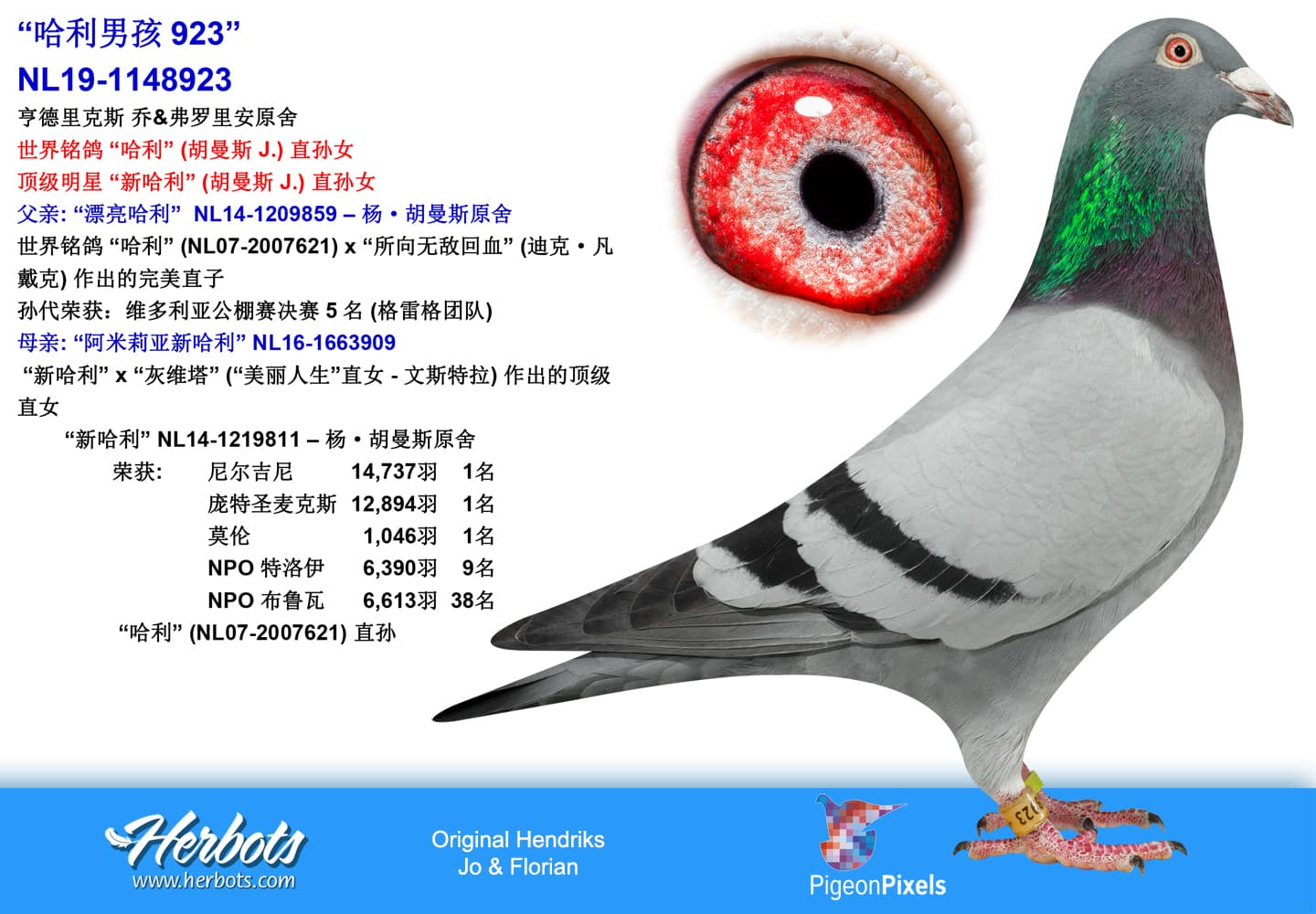 pigeon: undefined