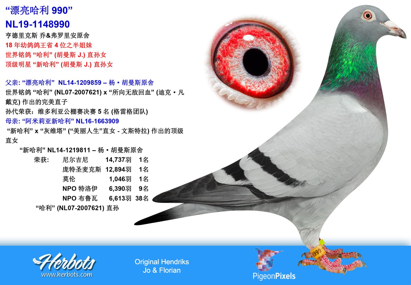 pigeon: undefined