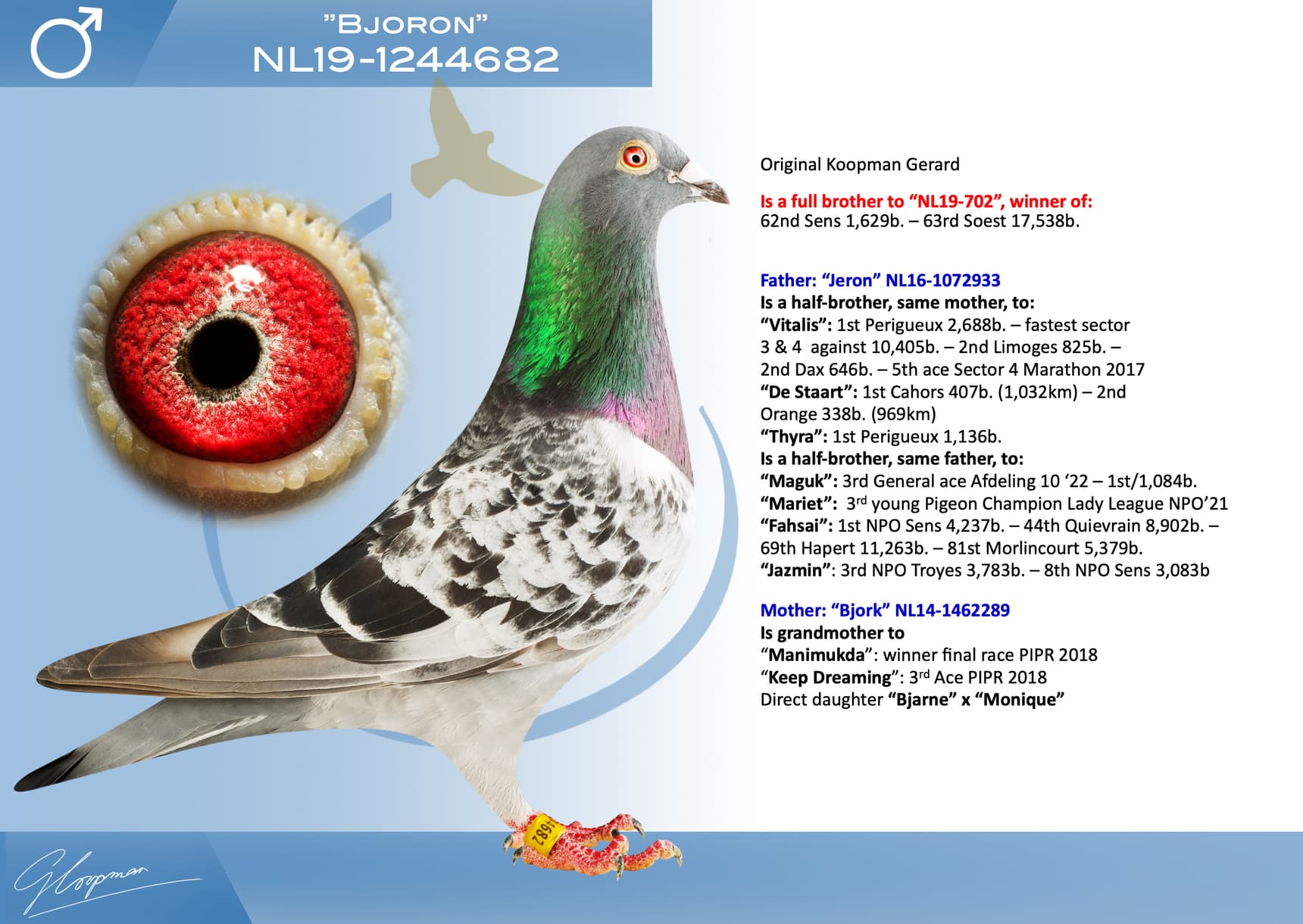 pigeon: undefined