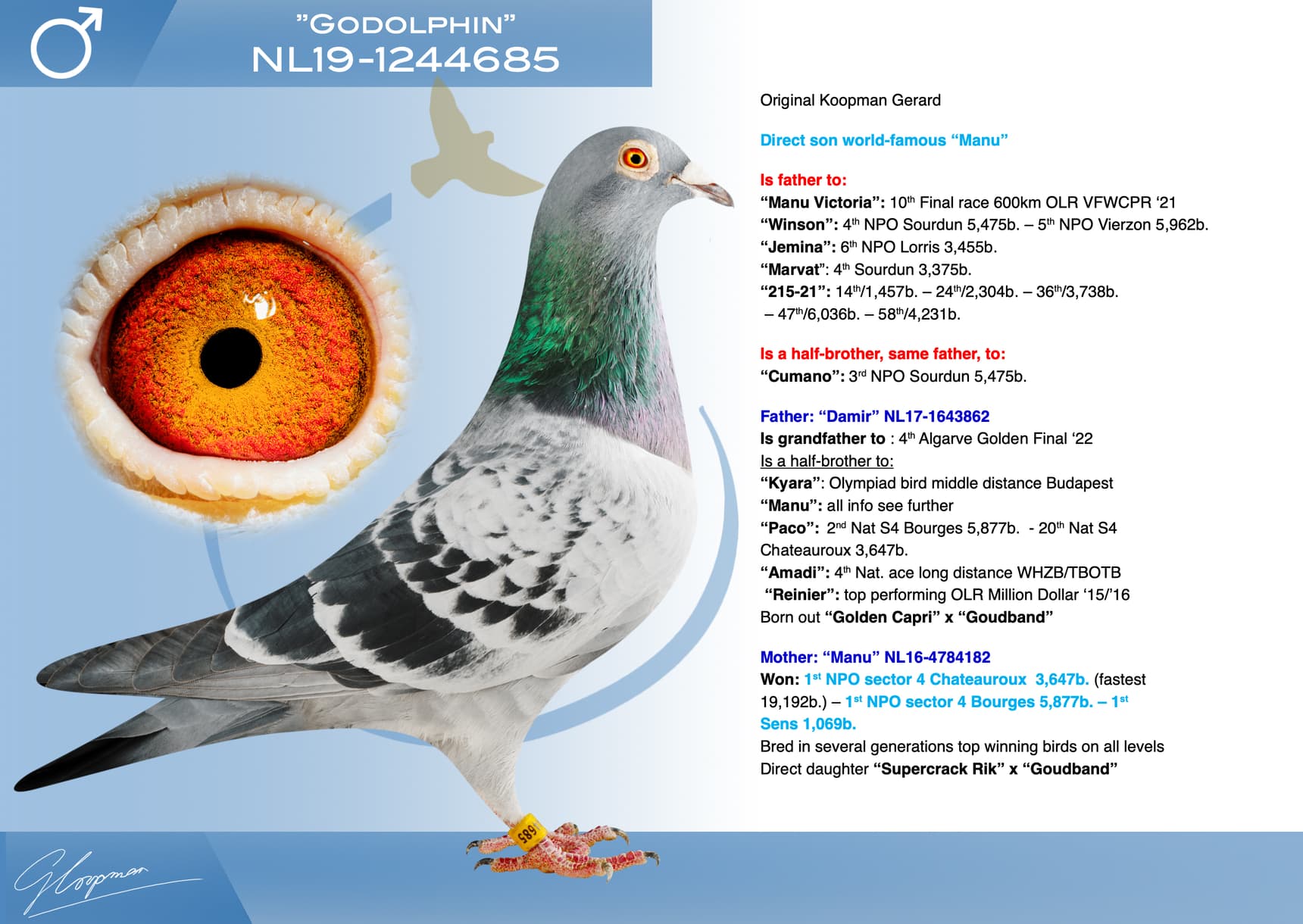 pigeon: undefined