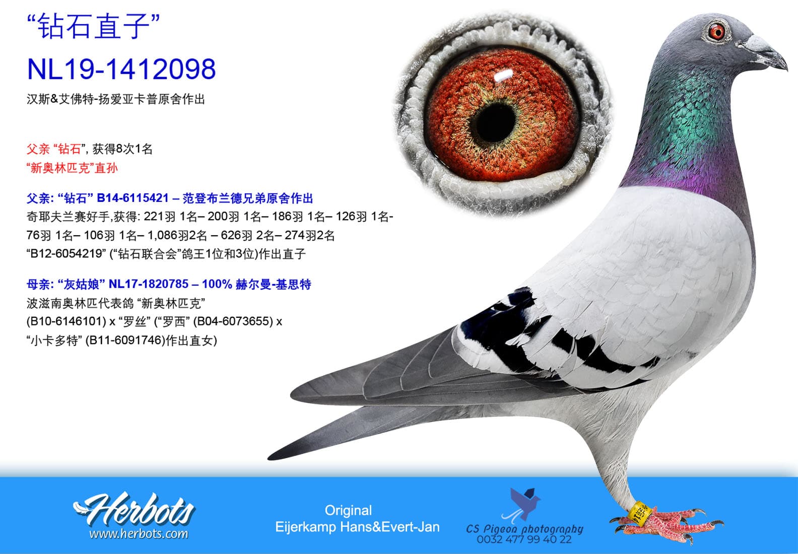 pigeon: undefined