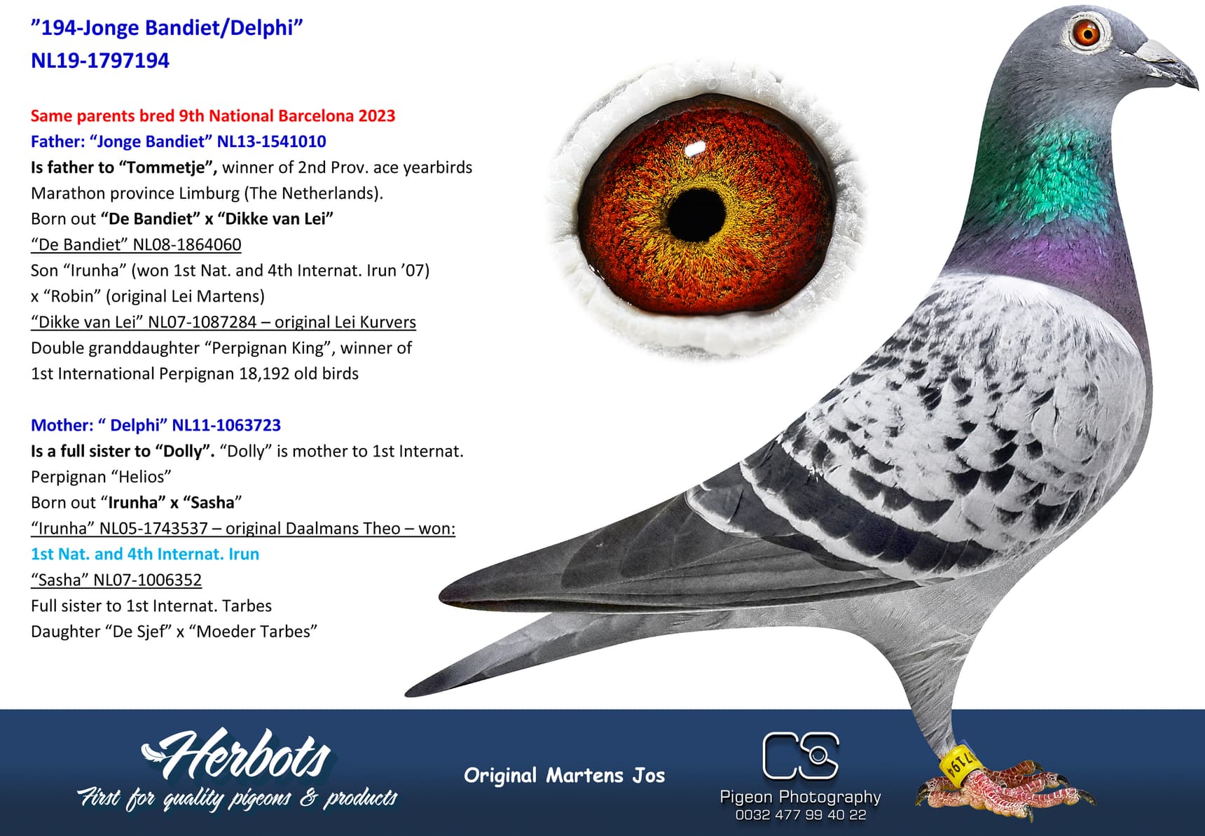 pigeon: undefined