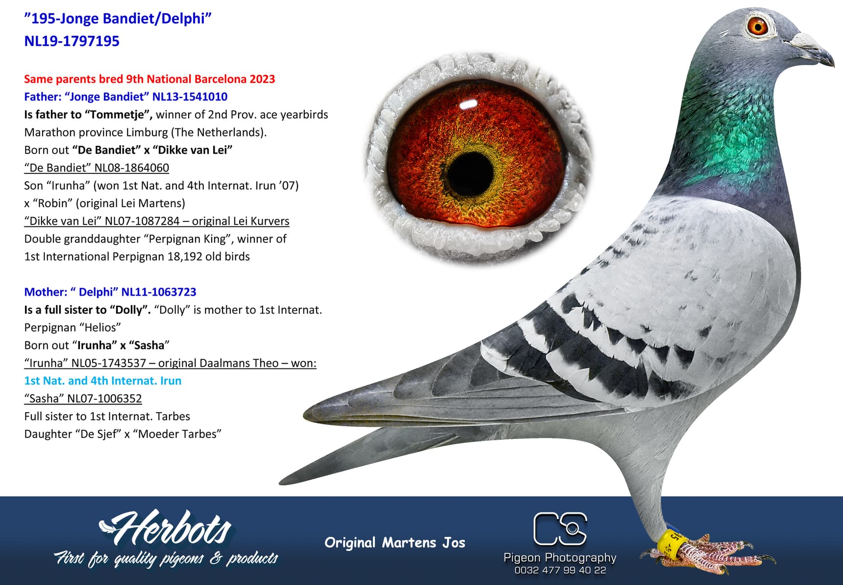 pigeon: undefined