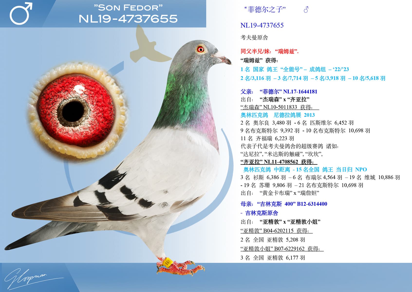 pigeon: undefined