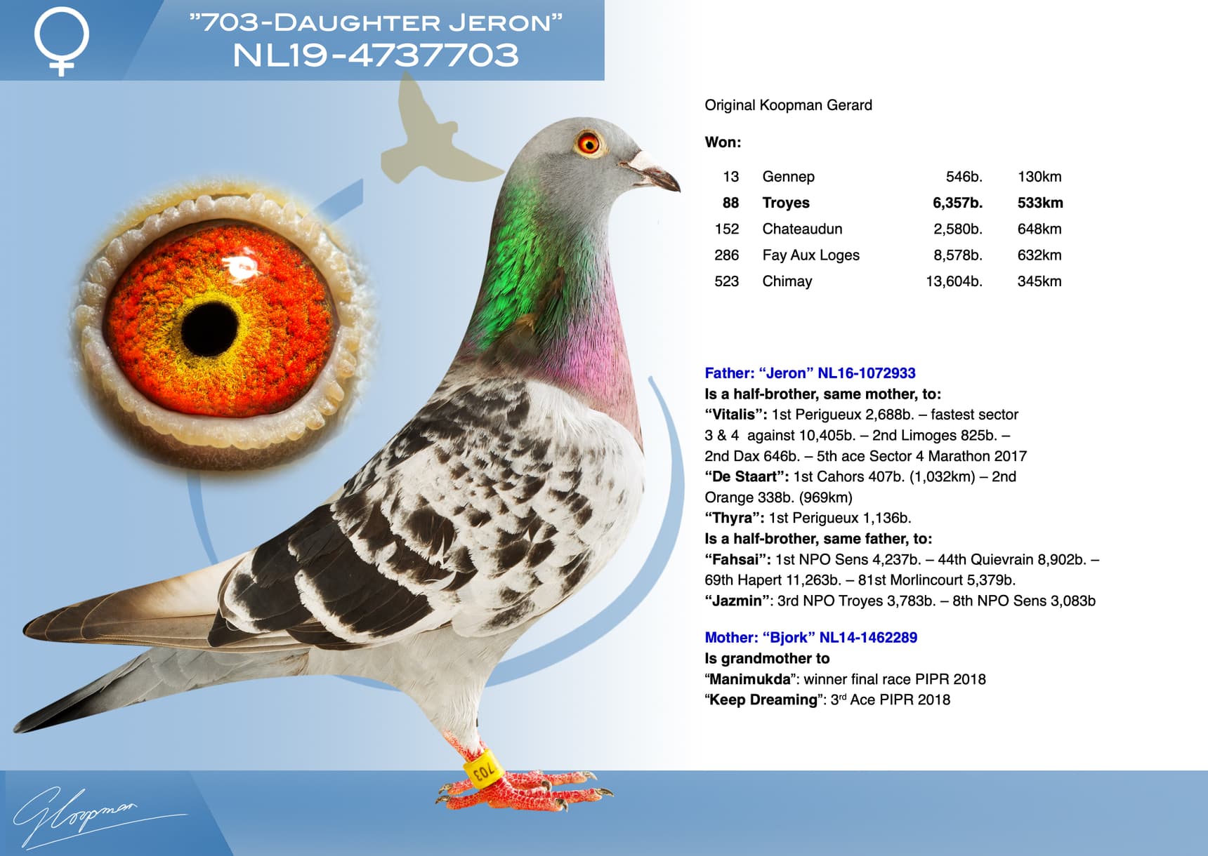 pigeon: undefined