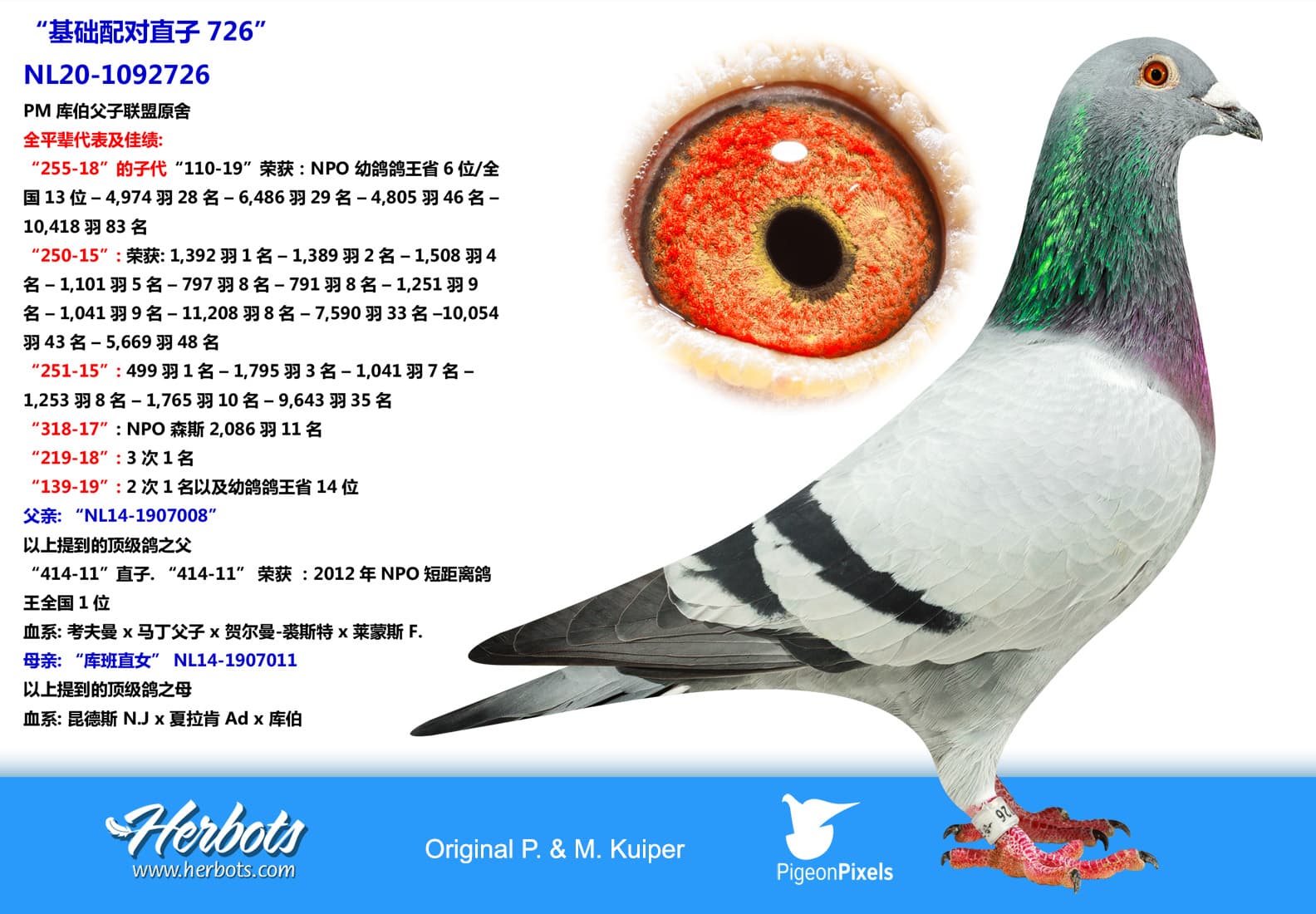 pigeon: undefined