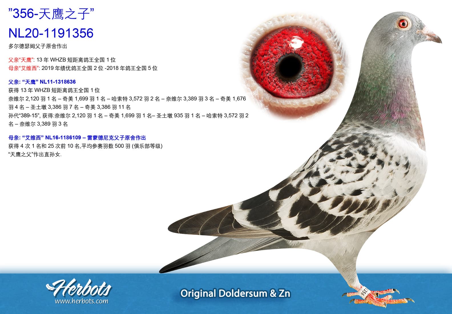 pigeon: undefined