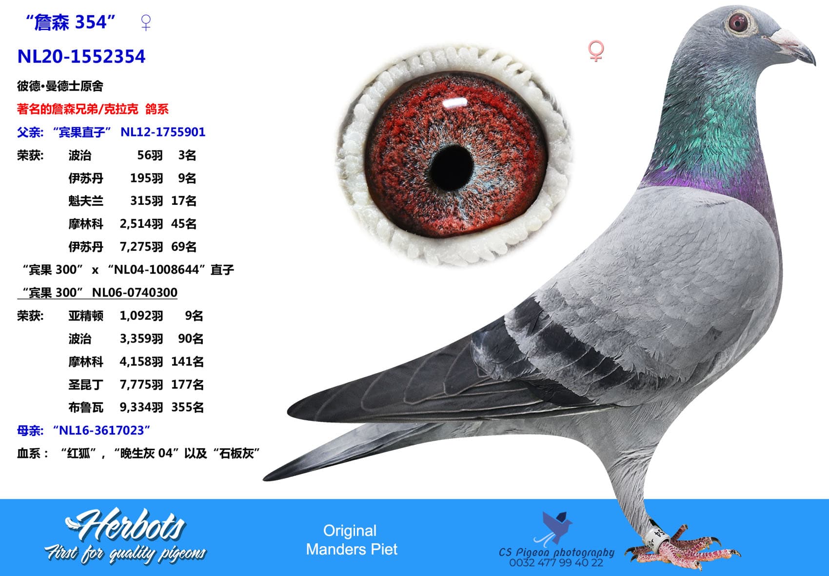 pigeon: undefined