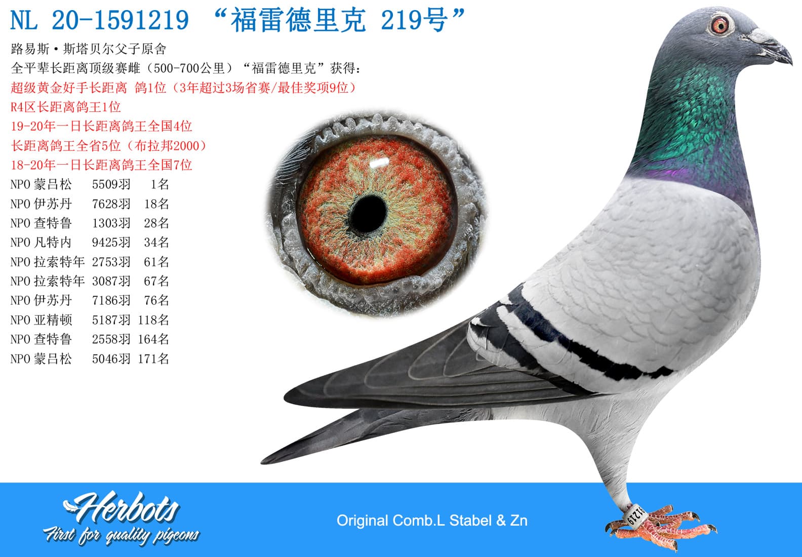 pigeon: “福雷德里克219号”