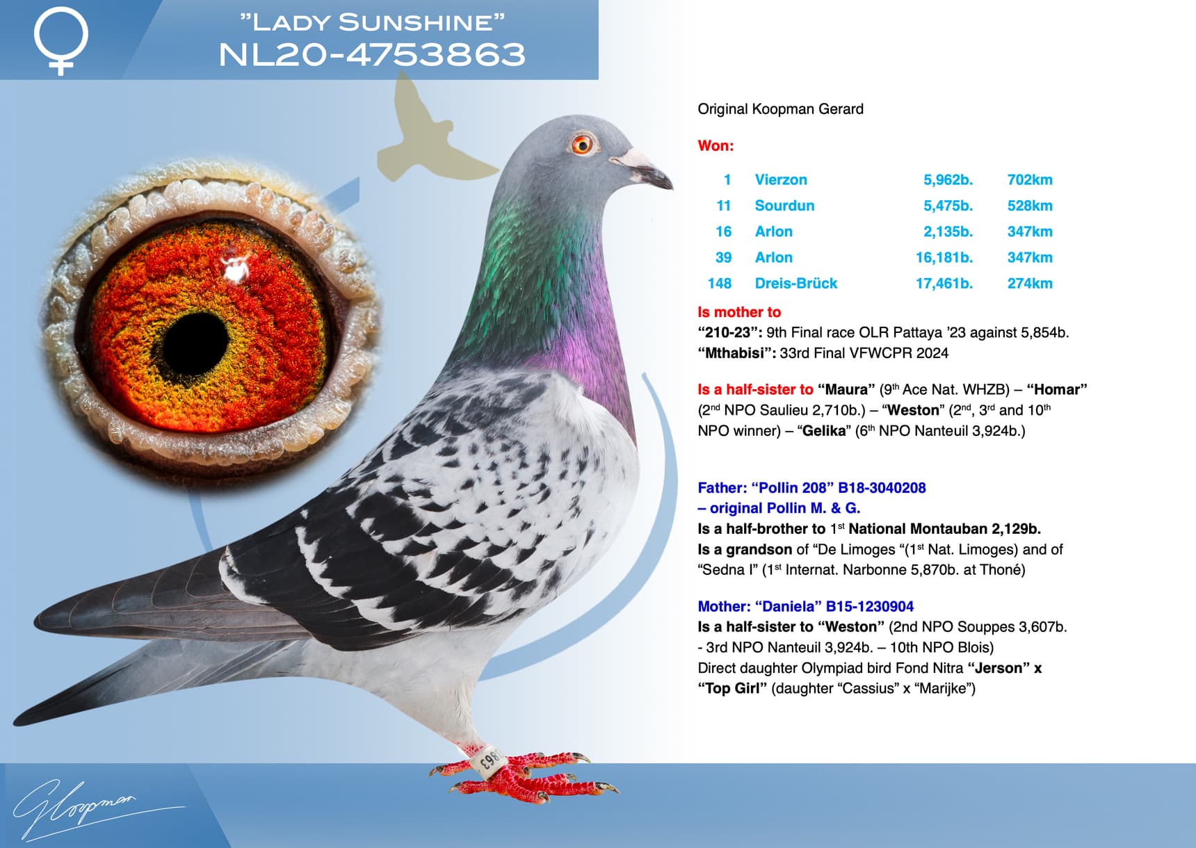 pigeon: undefined