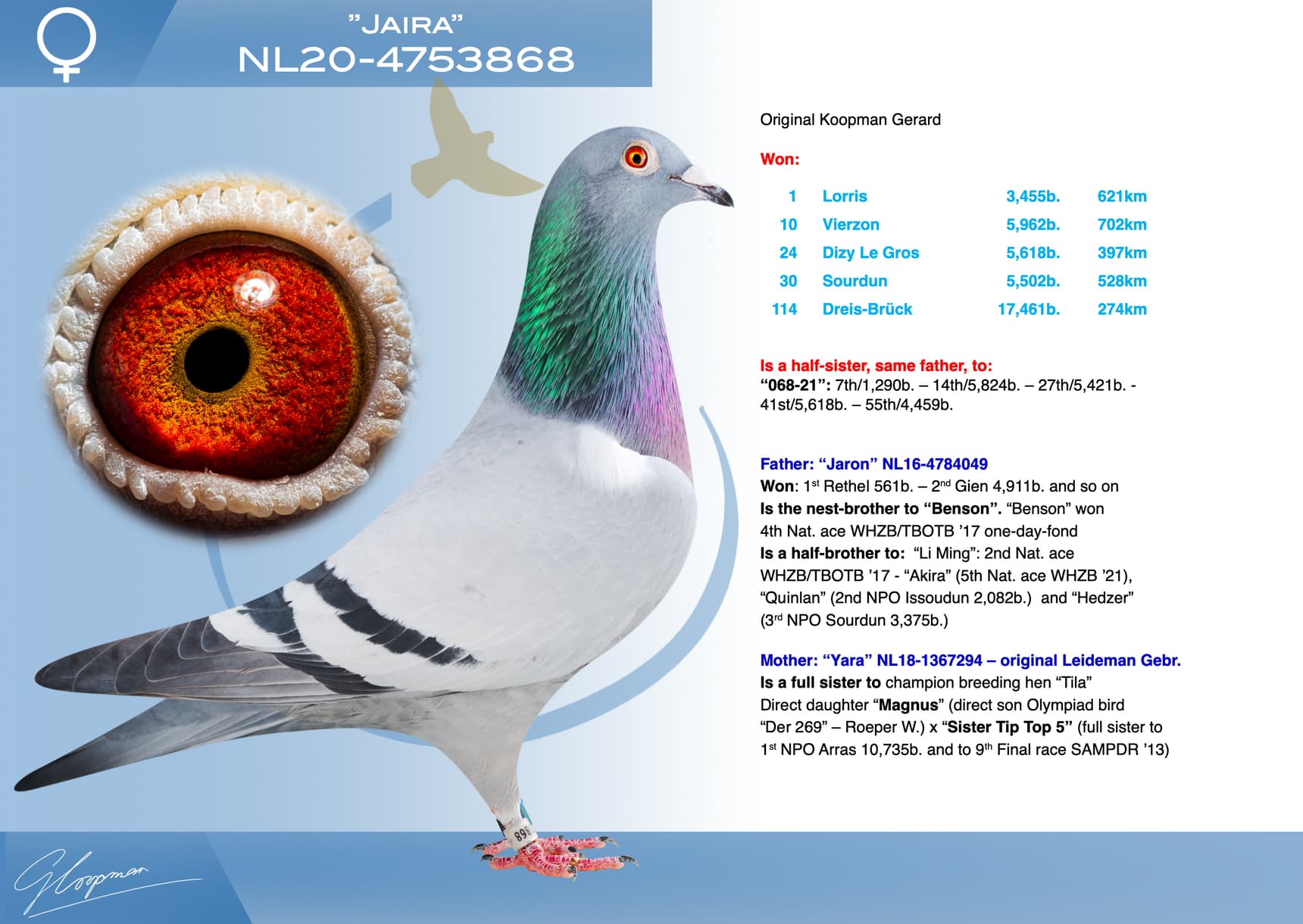 pigeon: undefined