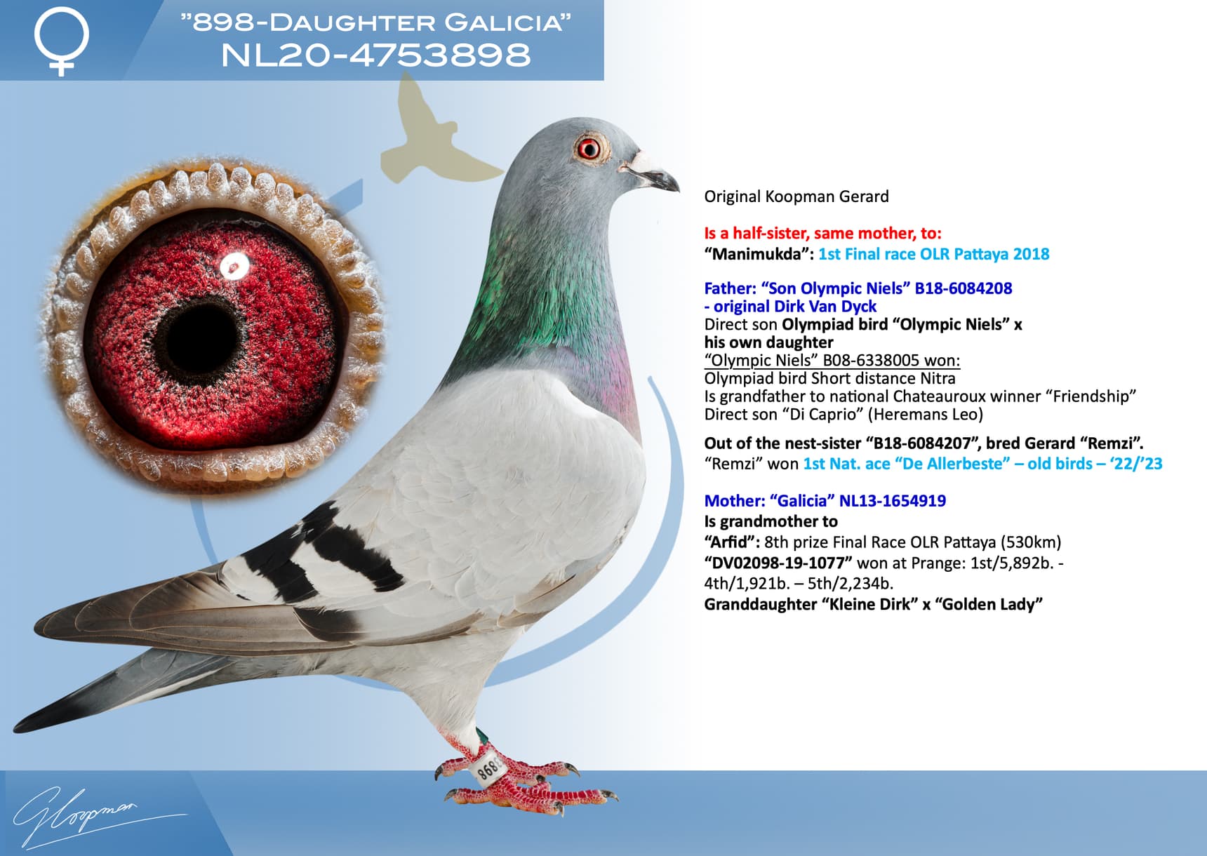 pigeon: undefined