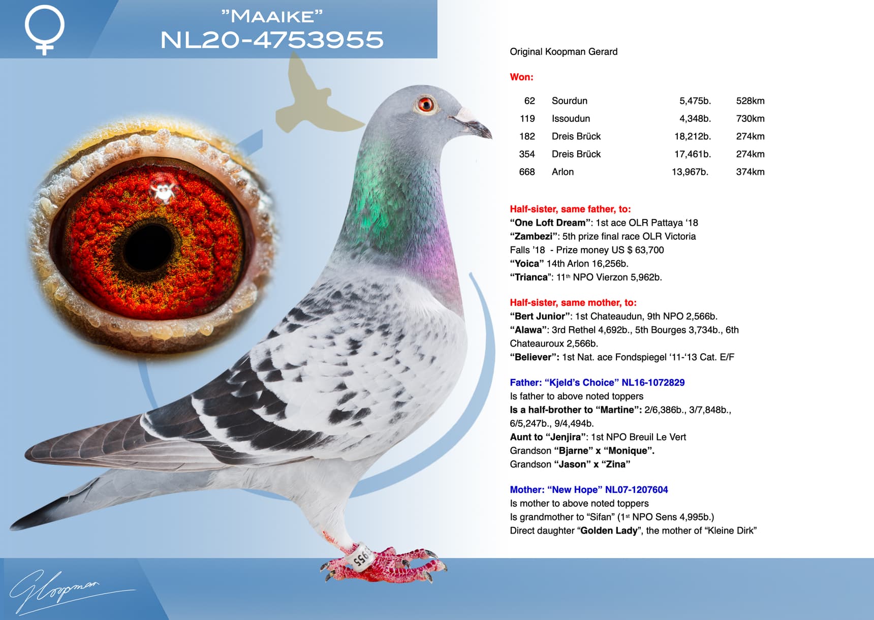 pigeon: undefined