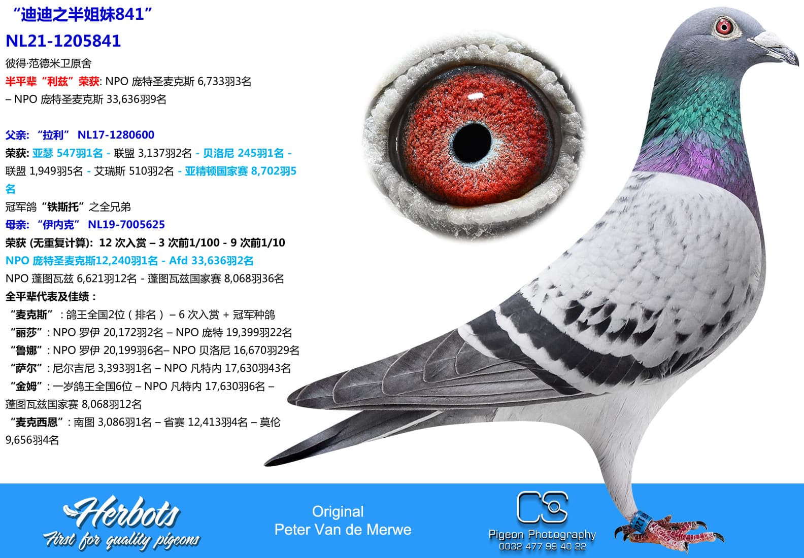 pigeon: undefined